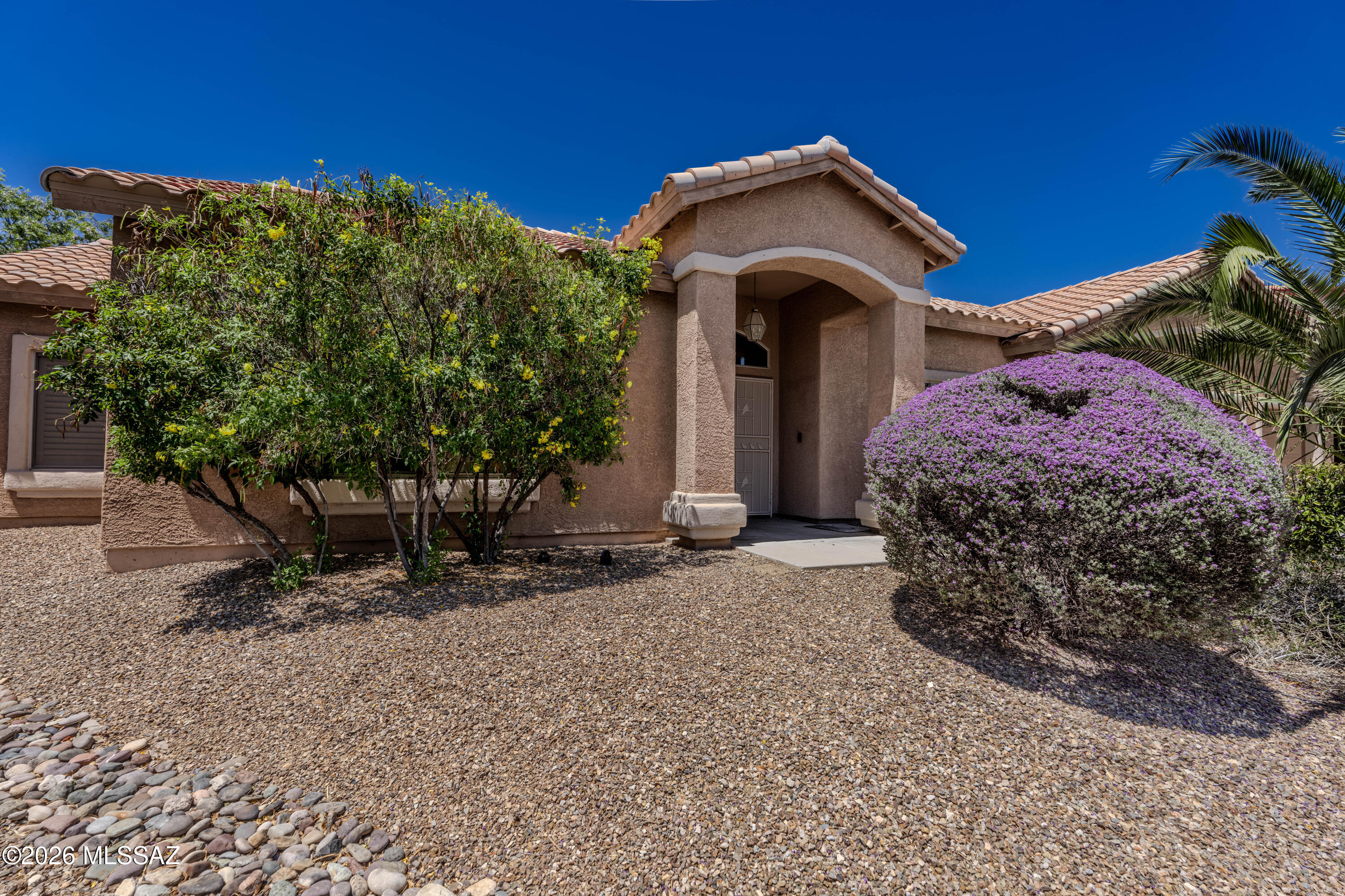2006 W Silver Rose Place