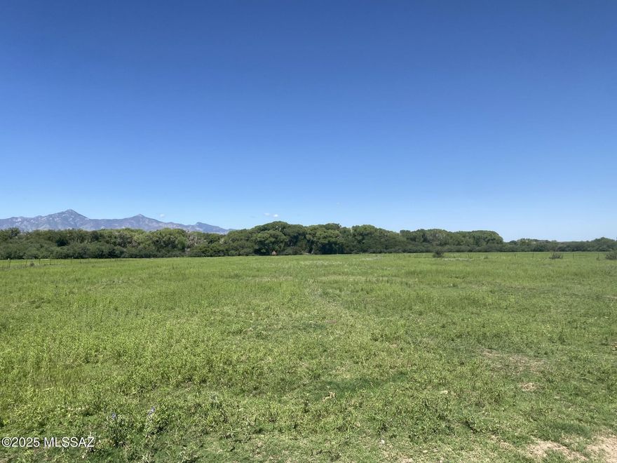A unique offering on a historic Southern Arizona Ranch. The 100+ year old family owned Rancho Del Rio San Pedro is available for sale. This 1150+/- acre ranch features San Pedro Riverfront acreage with a 3 BR 2 BA home, a pond side 1BR 1BA cottage, hay and equipment storage, ponds, irrigated fields, a small craft landing strip and hangar, 955+/- acres of pastures and 2000+ acres of leased AZ grazing rights. This offering also includes parcels 10483005, 10434005, 10440001, 10439002A, 10439002D, 10439001A, 10202001, 10439002B, 10439002C. Water rights have been secured. Ranch, farm  or create your own oasis. Pictures coming soon! Call for showing.