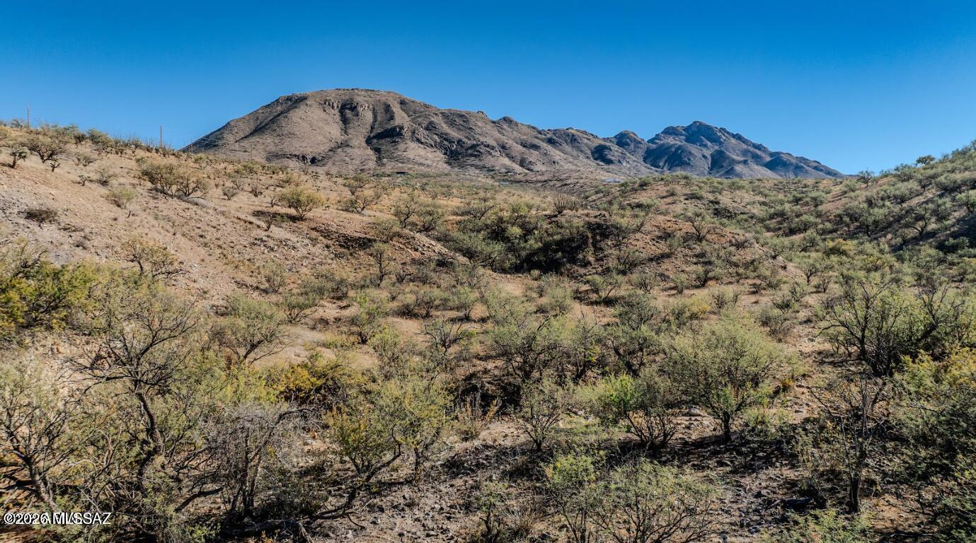 Rio Rico Ranchettes - Land
