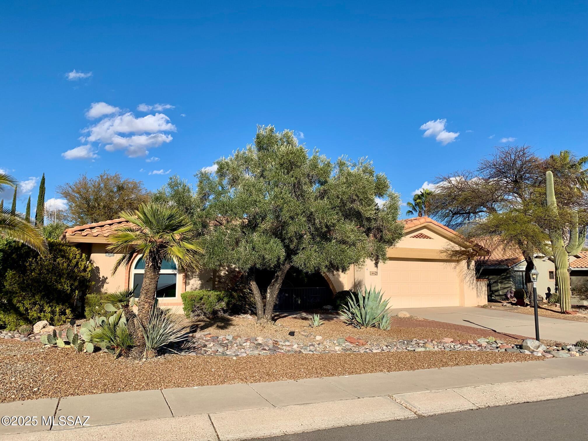14420 N Del Webb Boulevard
