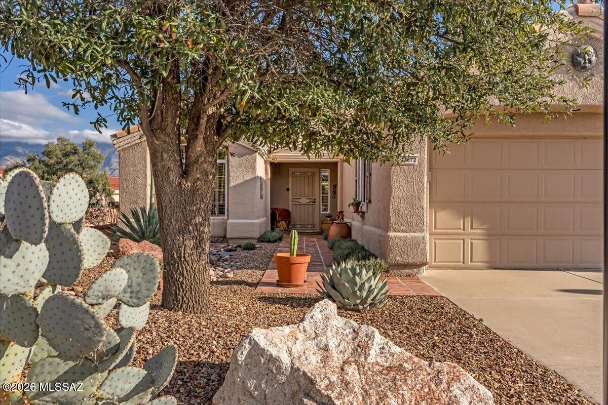 13672 N Tom Ryans Way