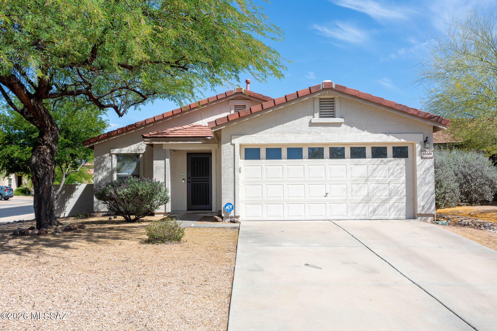 12886 N Desert Olive Drive