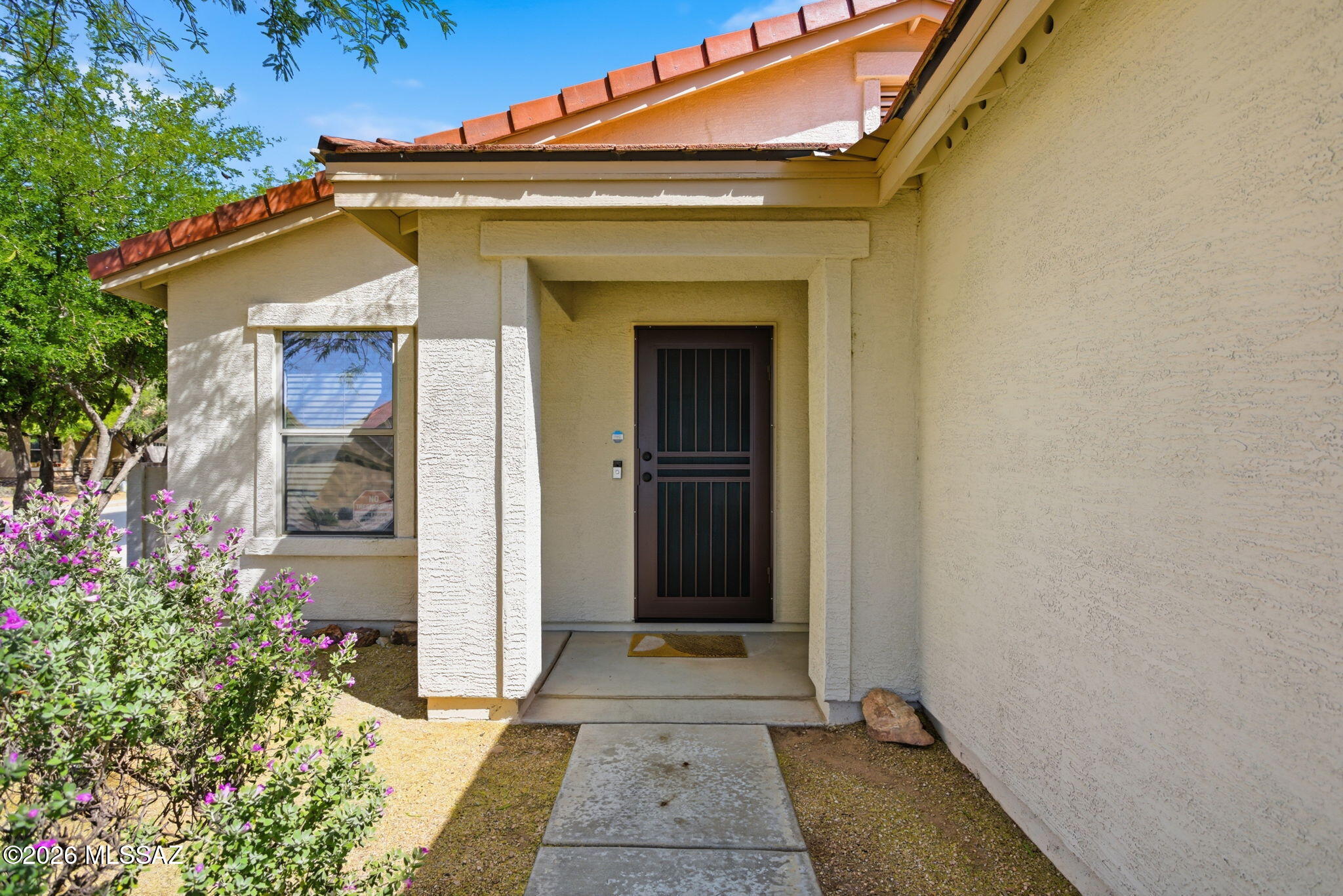 12886 N Desert Olive Drive