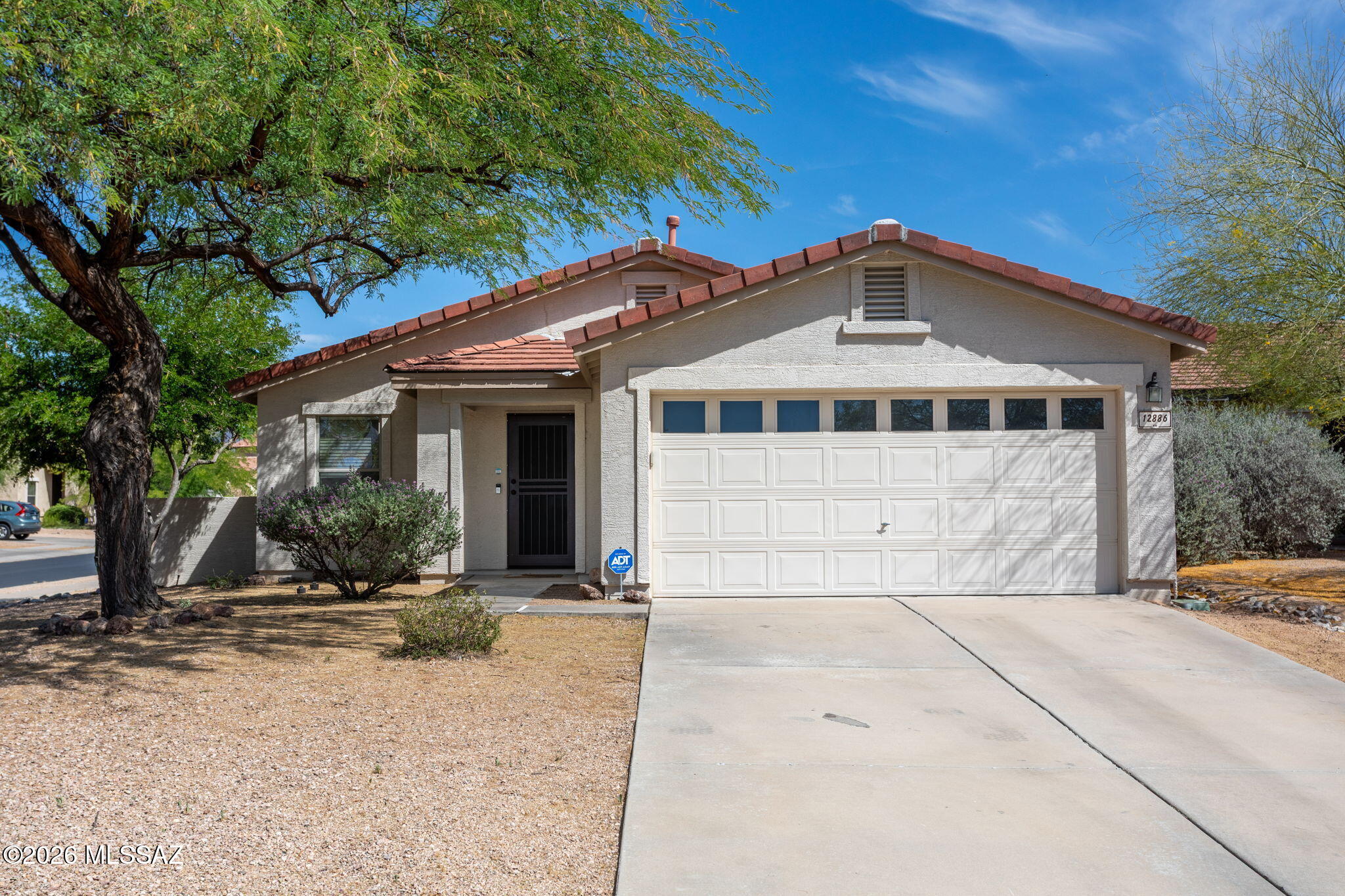 12886 N Desert Olive Drive