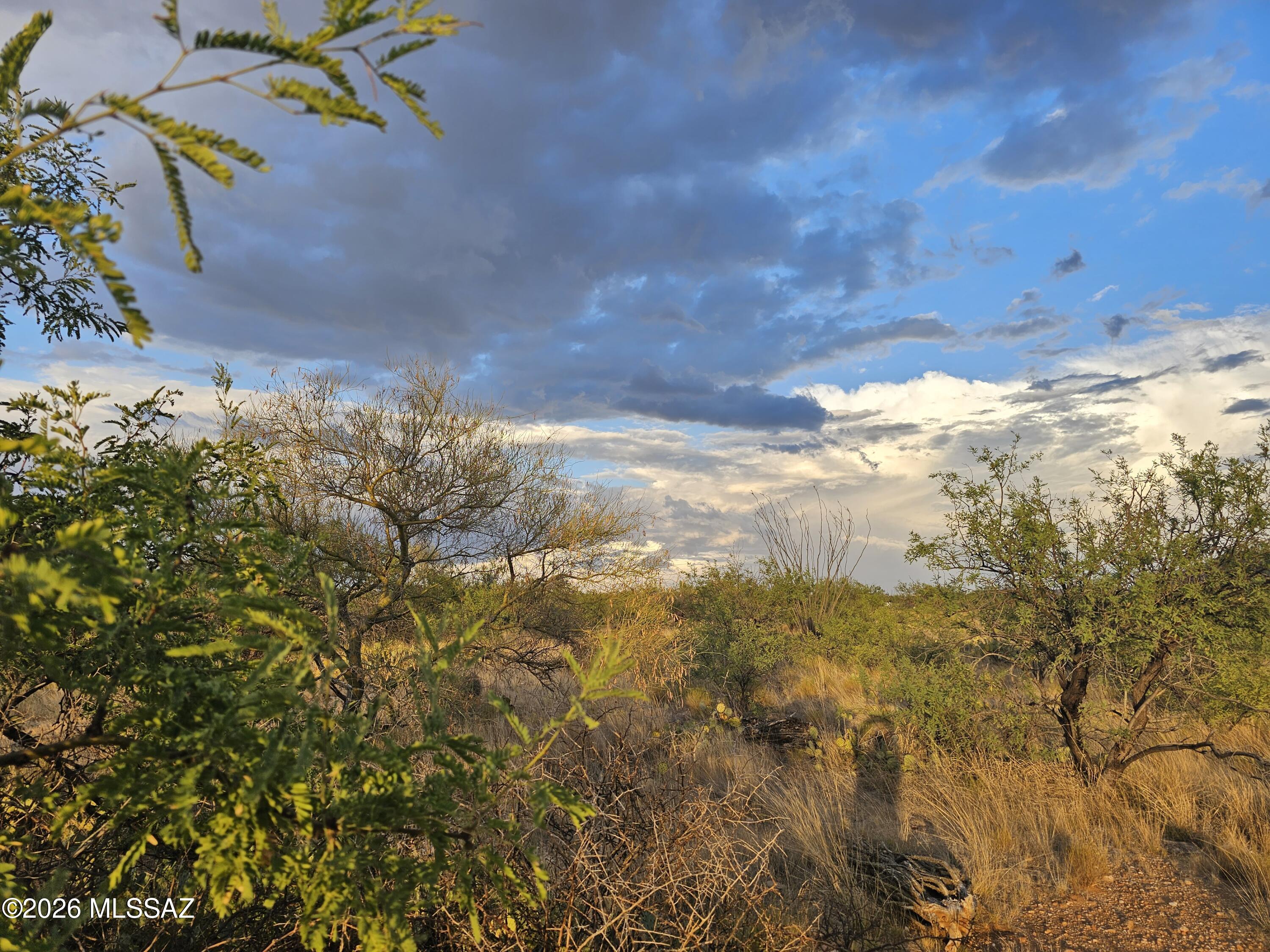 Diamond Bell Ranch - Tucson Unit 3 (1-409) - Land