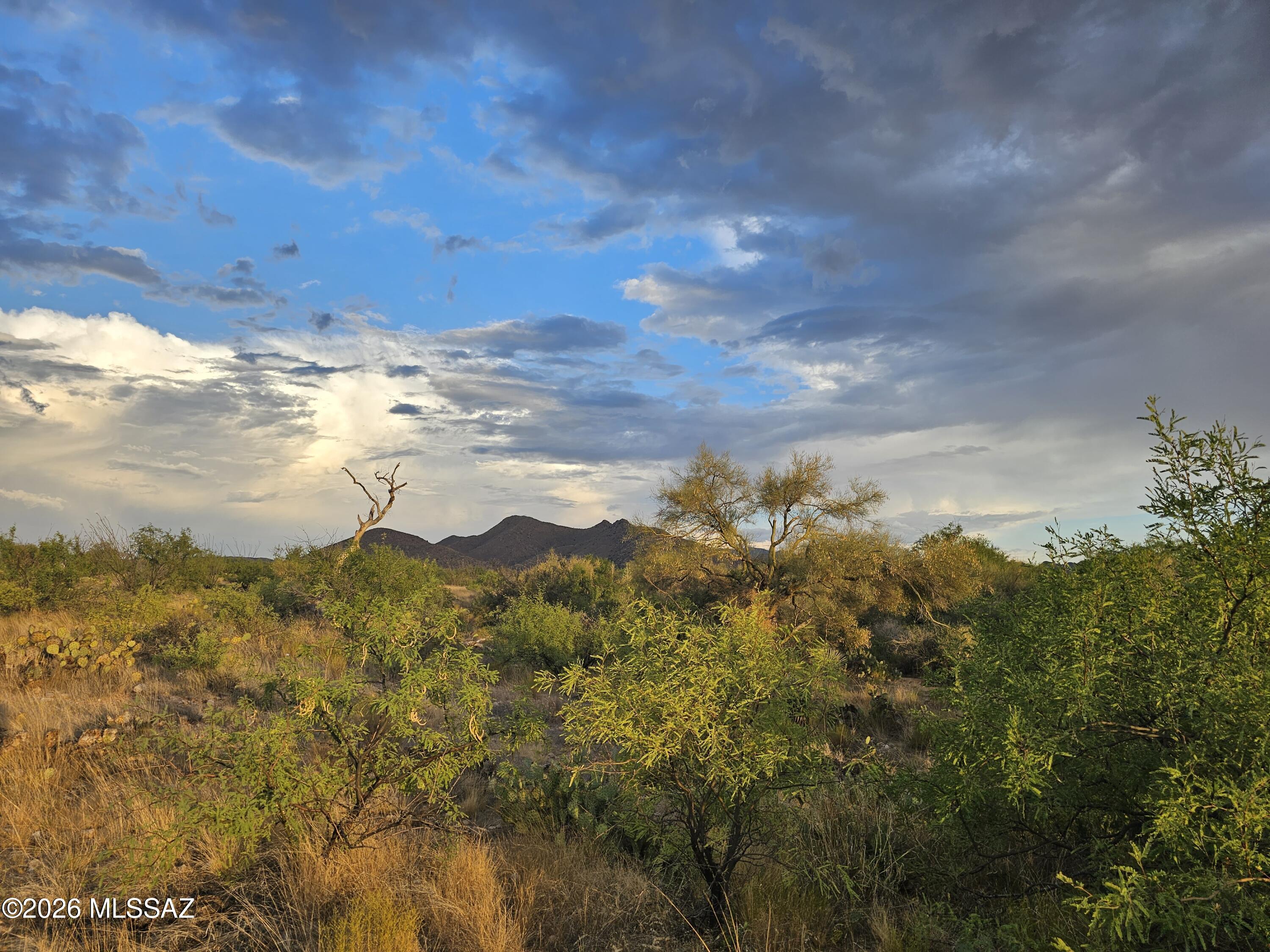 Diamond Bell Ranch - Tucson Unit 3 (1-409) - Land