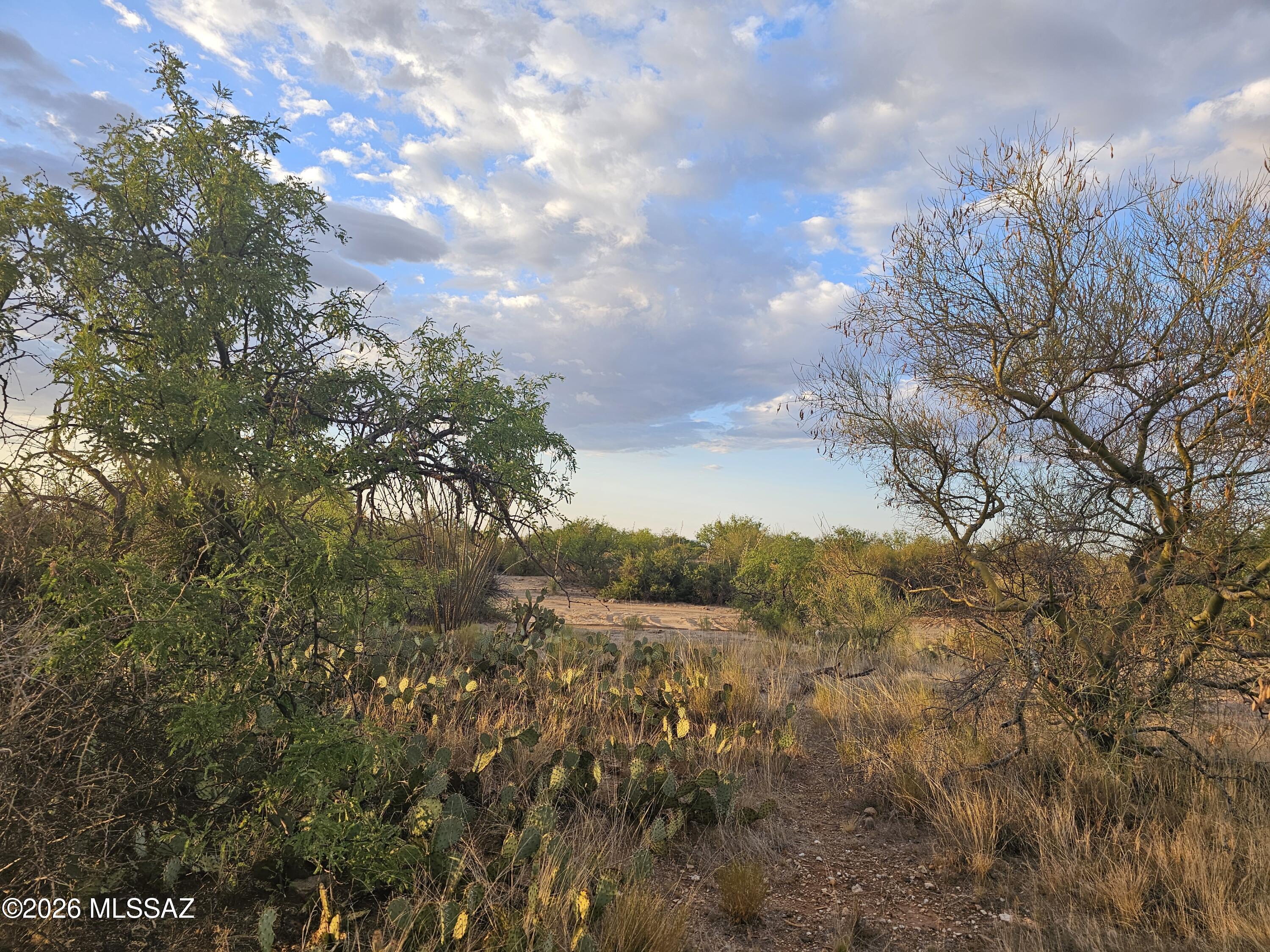 Diamond Bell Ranch - Tucson Unit 3 (1-409) - Land