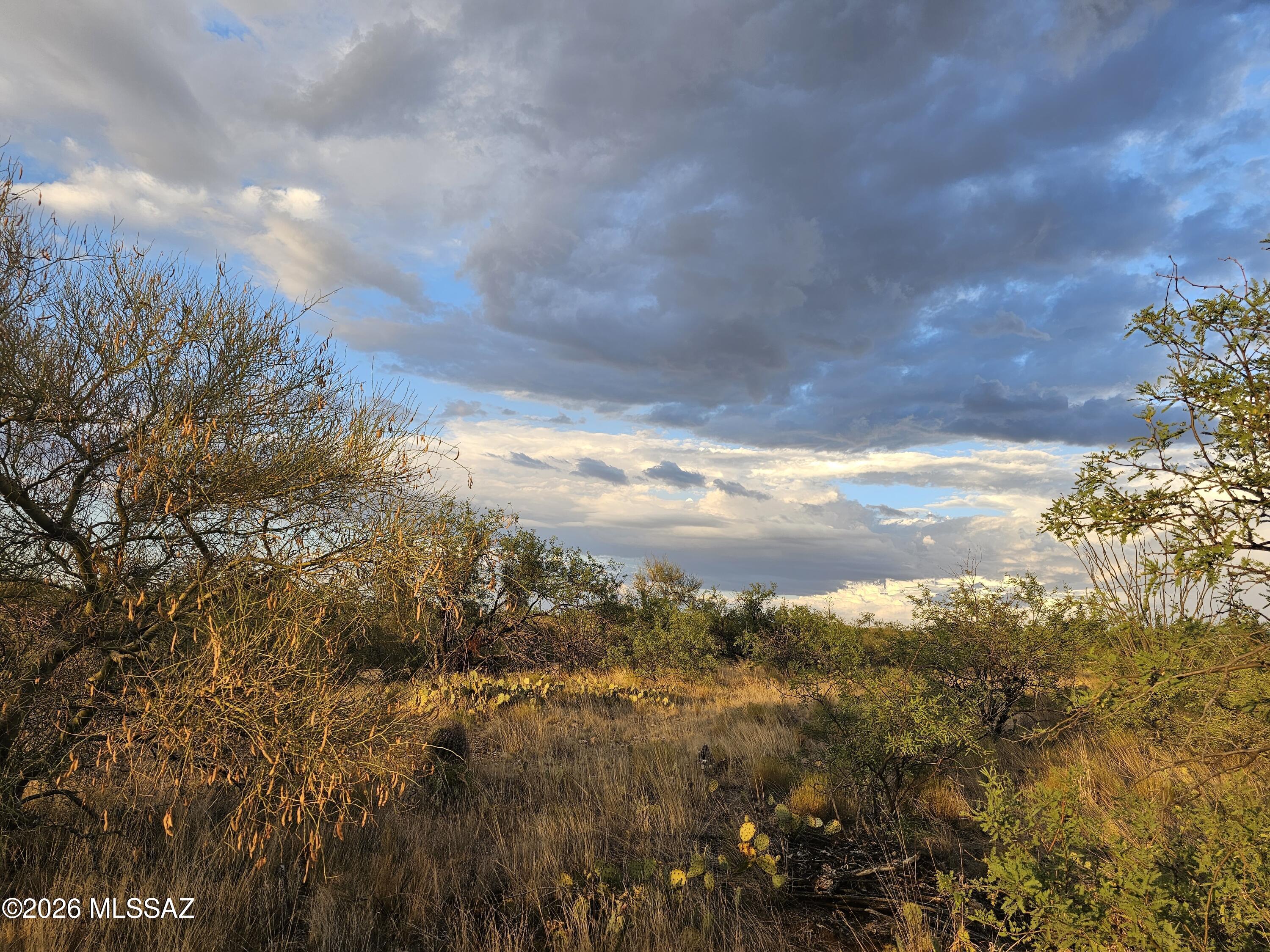 Diamond Bell Ranch - Tucson Unit 3 (1-409) - Land