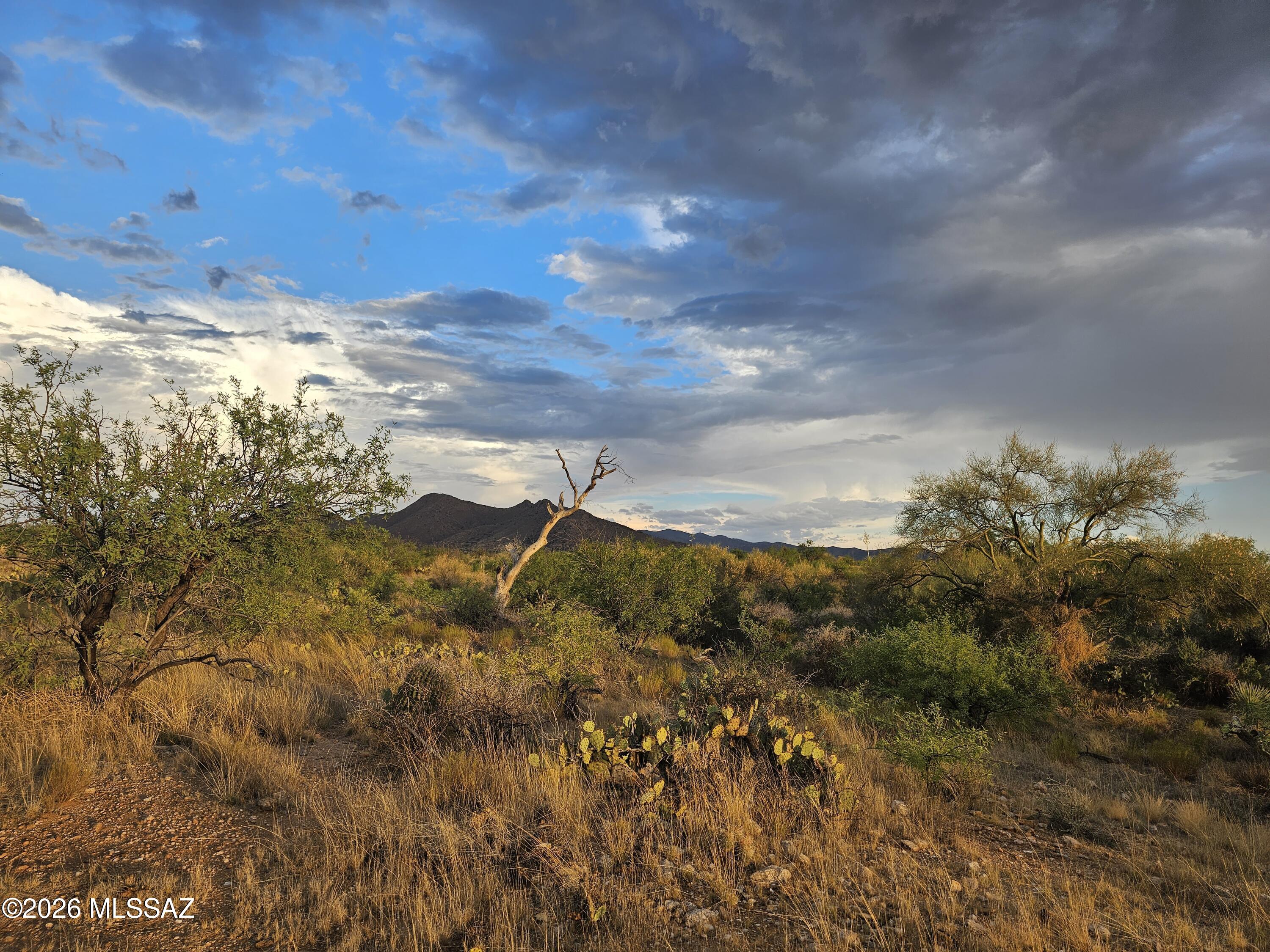 Diamond Bell Ranch - Tucson Unit 3 (1-409) - Land
