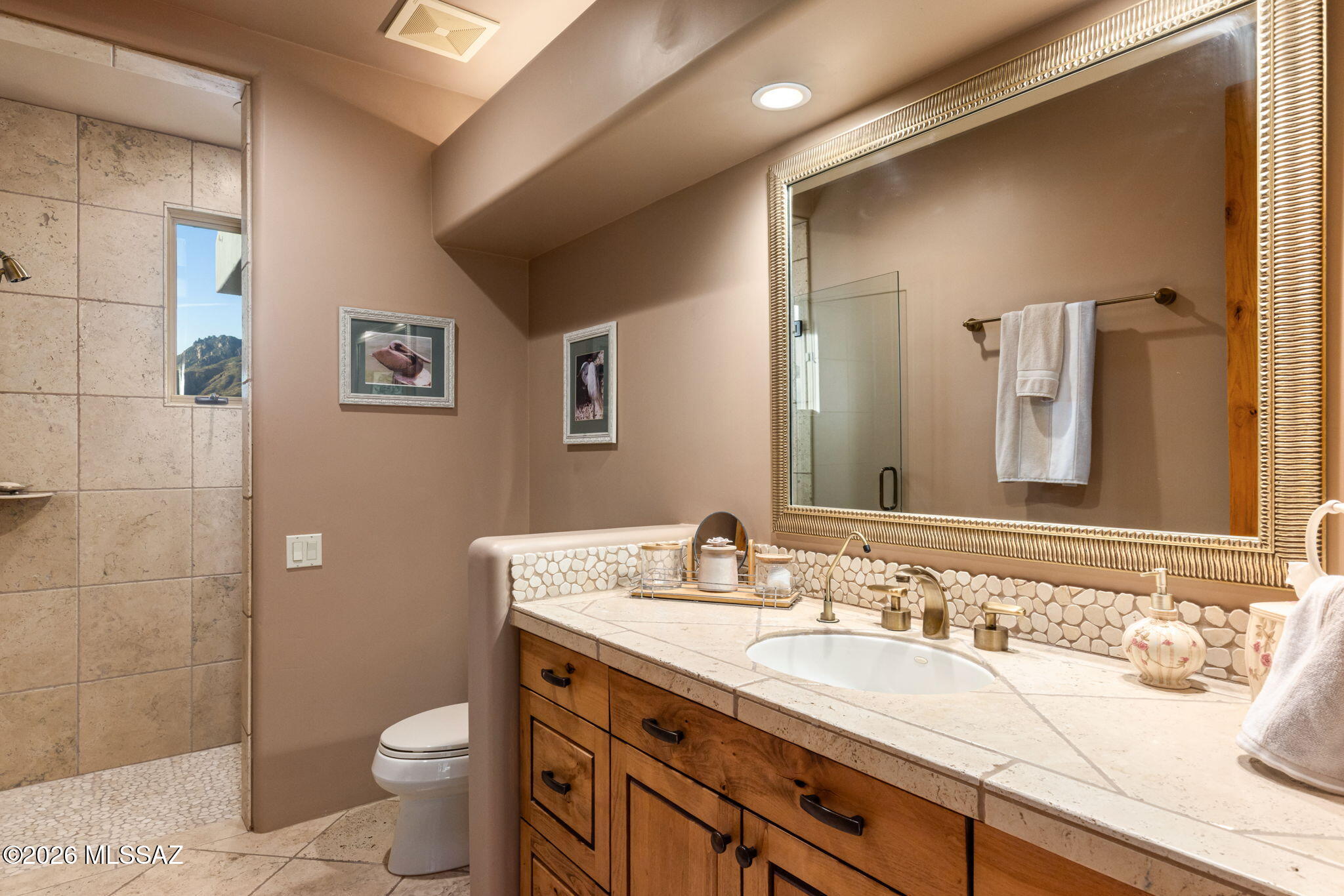 Sabino Mountain (1-290) - Residential
