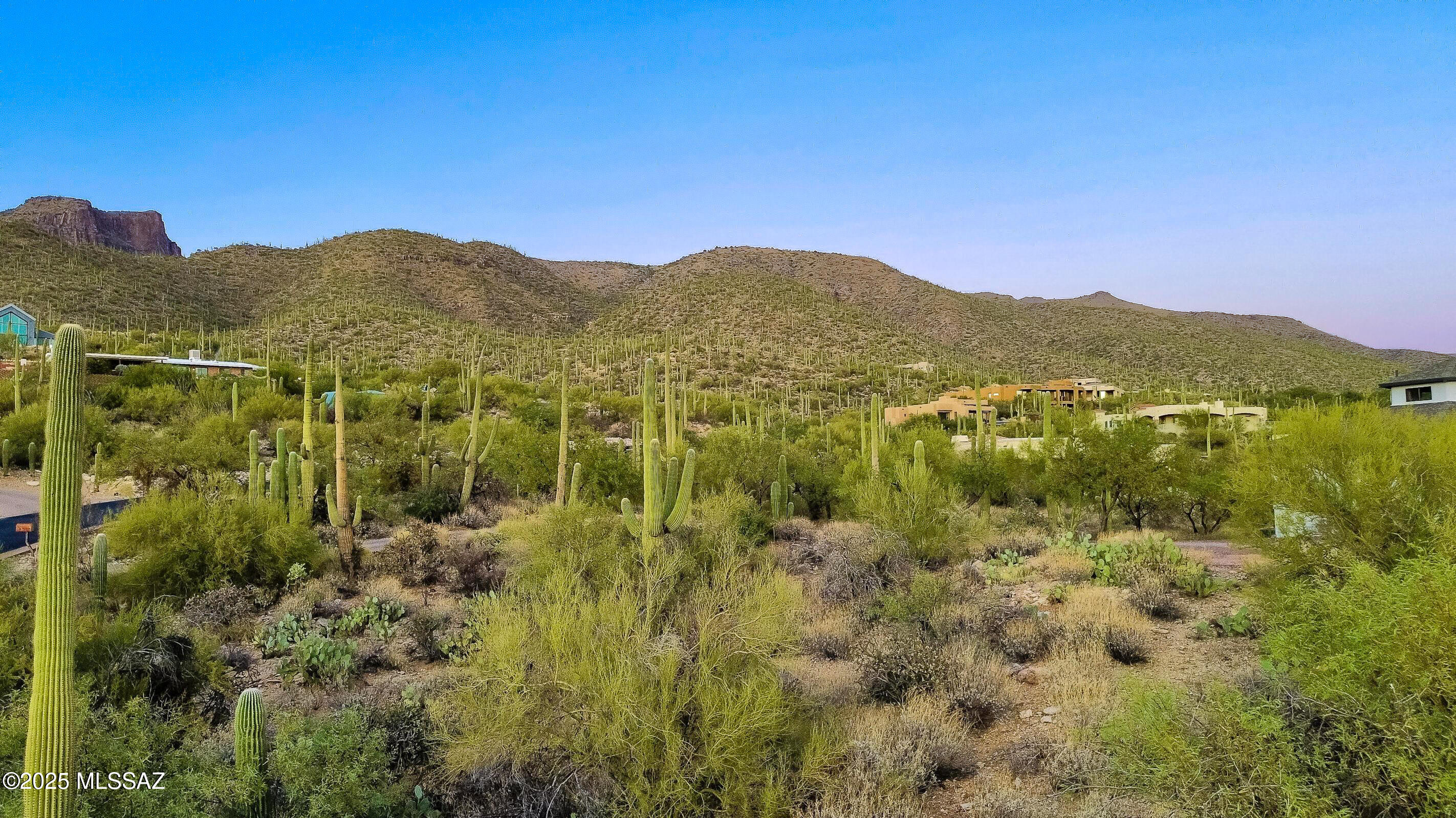 9650 E Sabino Estates Drive 3