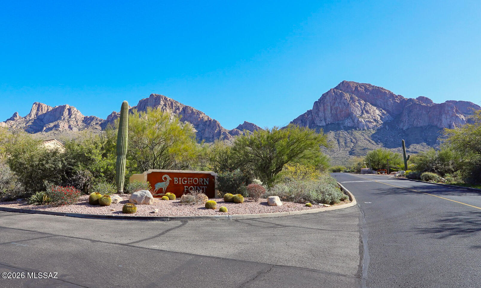 10280 N Calle Del Carnero