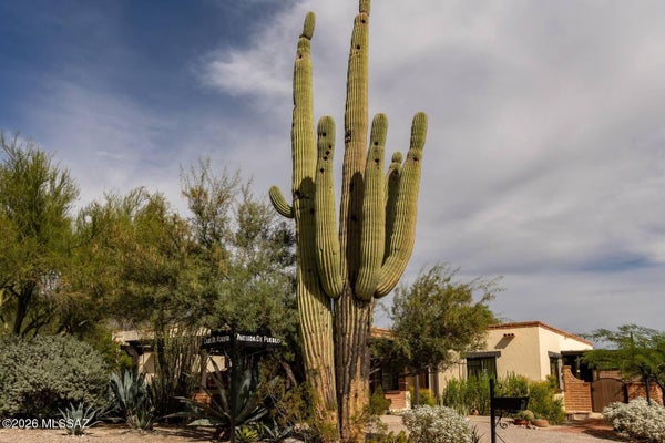 6322 N CALLE DE ADELITA, TUCSON, AZ 85718 - Image a2efdcef1df810fa23450cfcdfdb984d/2079156391