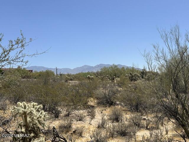 10781 N Camino De Oeste