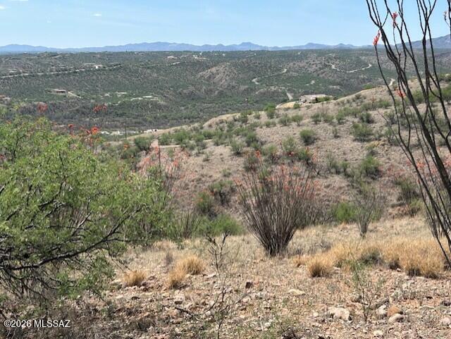 Rio Rico Ranchettes 10 - Residential
