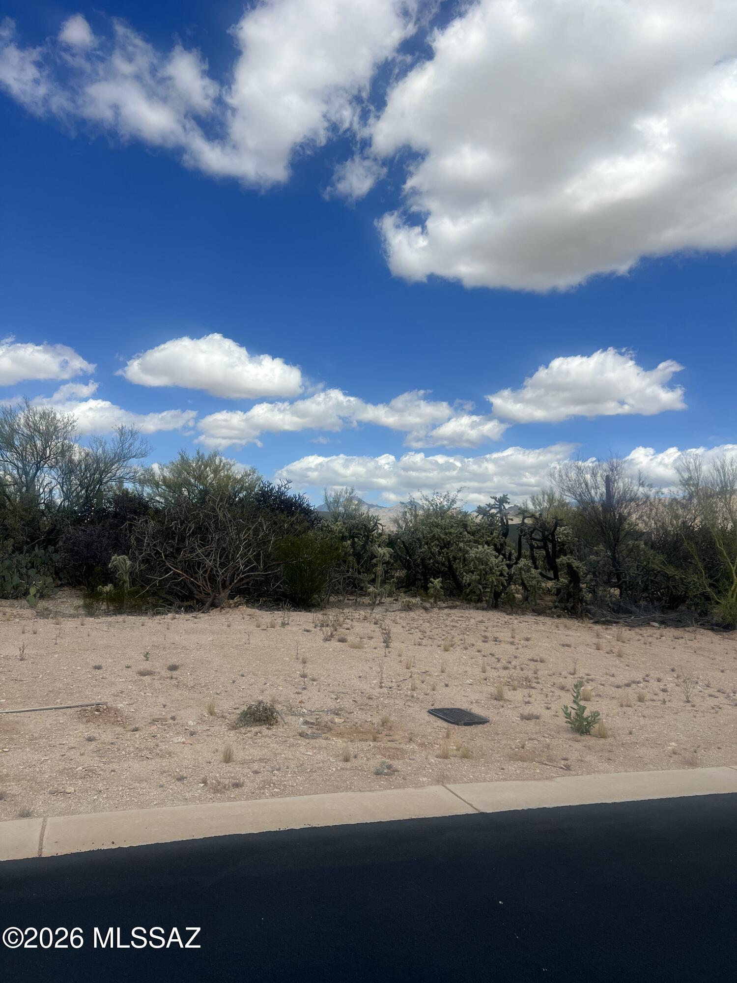 2883 N Sobaipuri Court 69