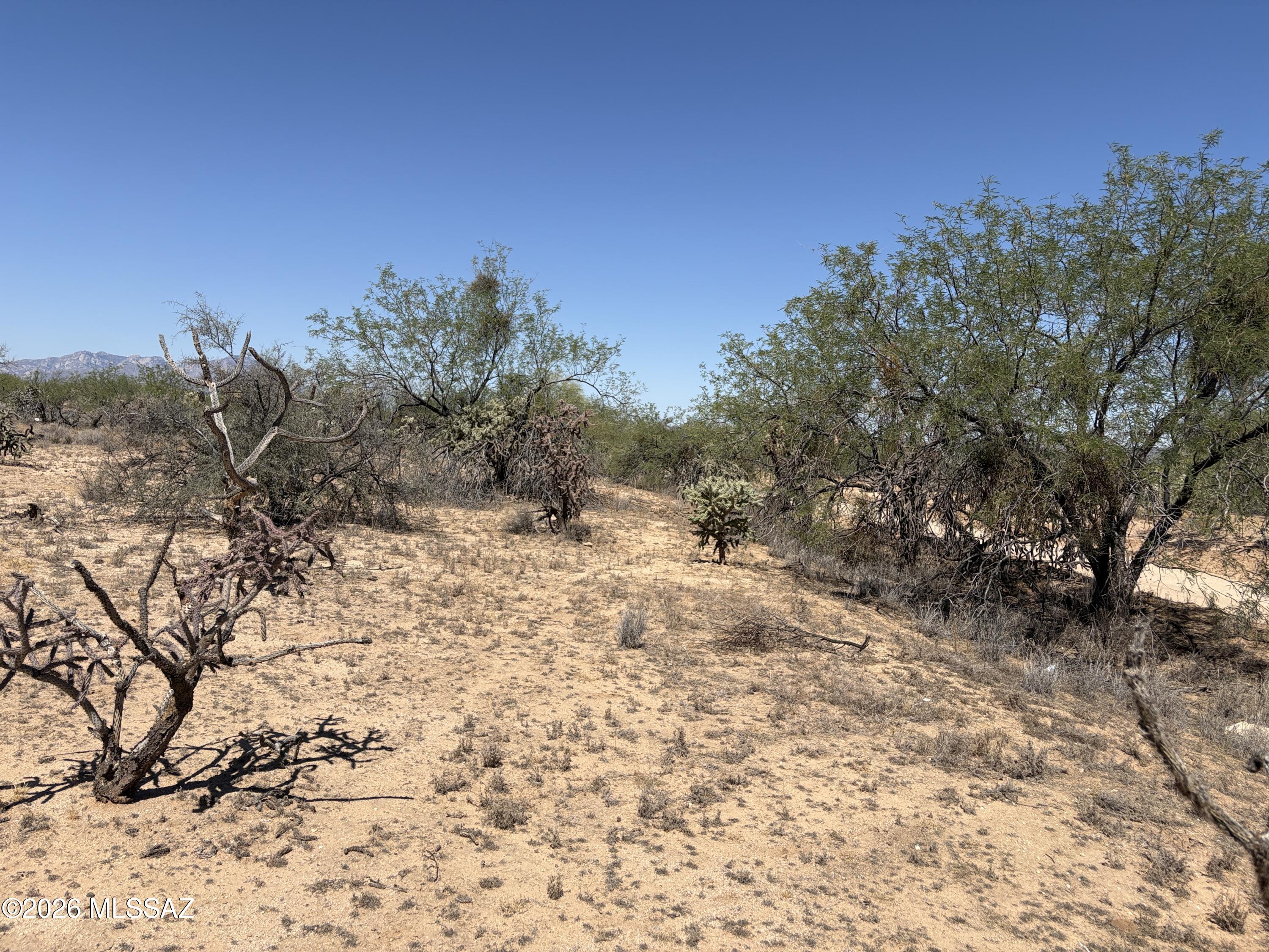 Diamond Bell Ranch - Tucson (1-229) - Land