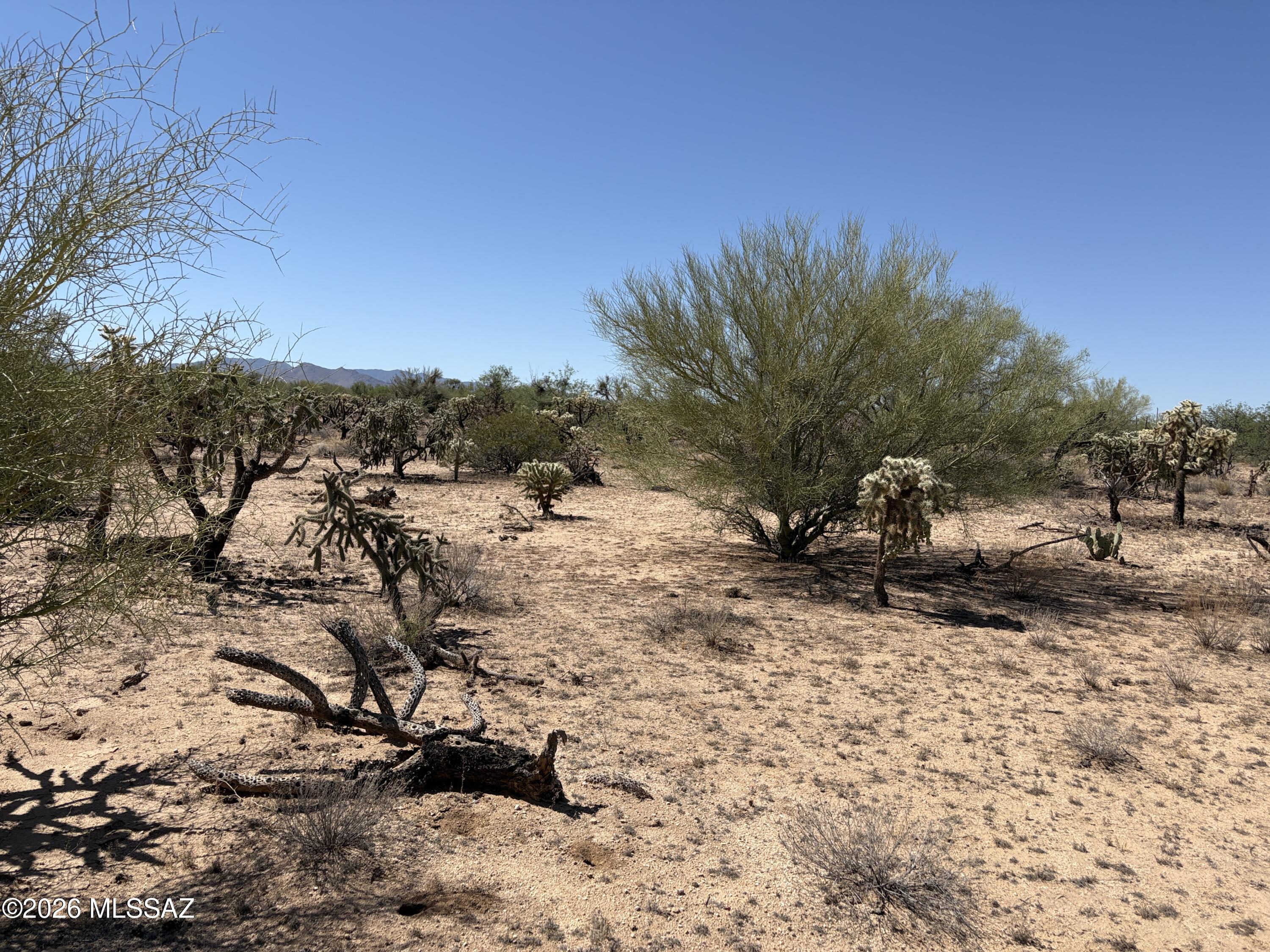 Diamond Bell Ranch - Tucson (1-229) - Land