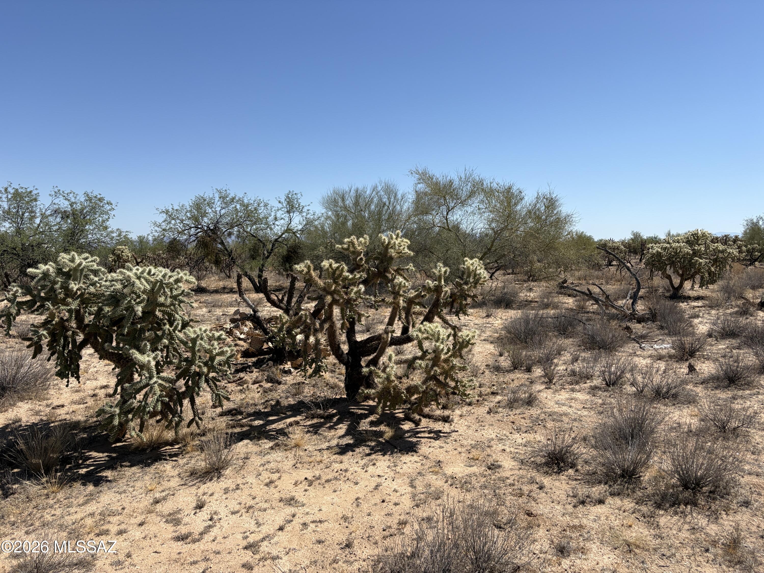 Diamond Bell Ranch - Tucson (1-229) - Land
