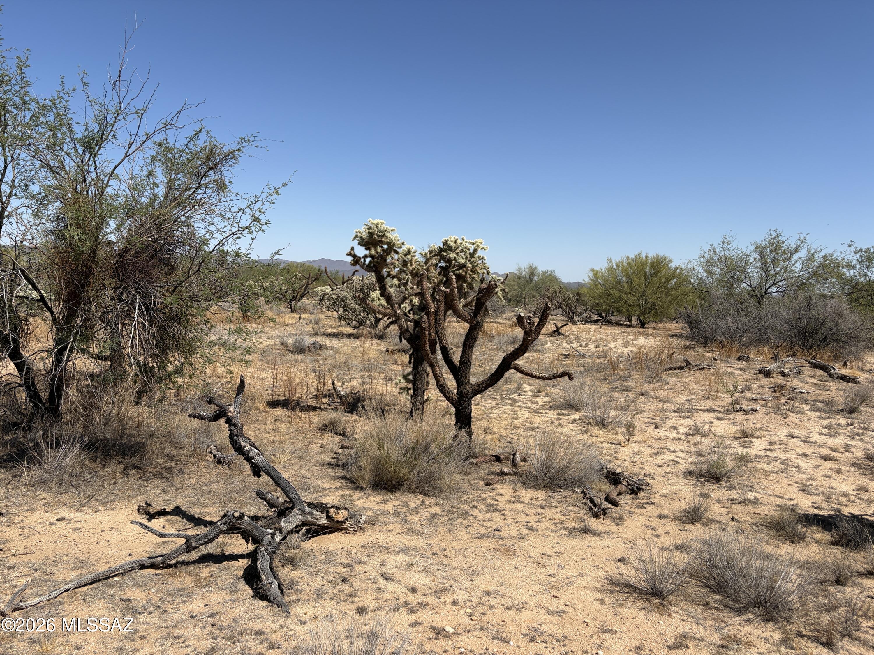Diamond Bell Ranch - Tucson (1-229) - Land