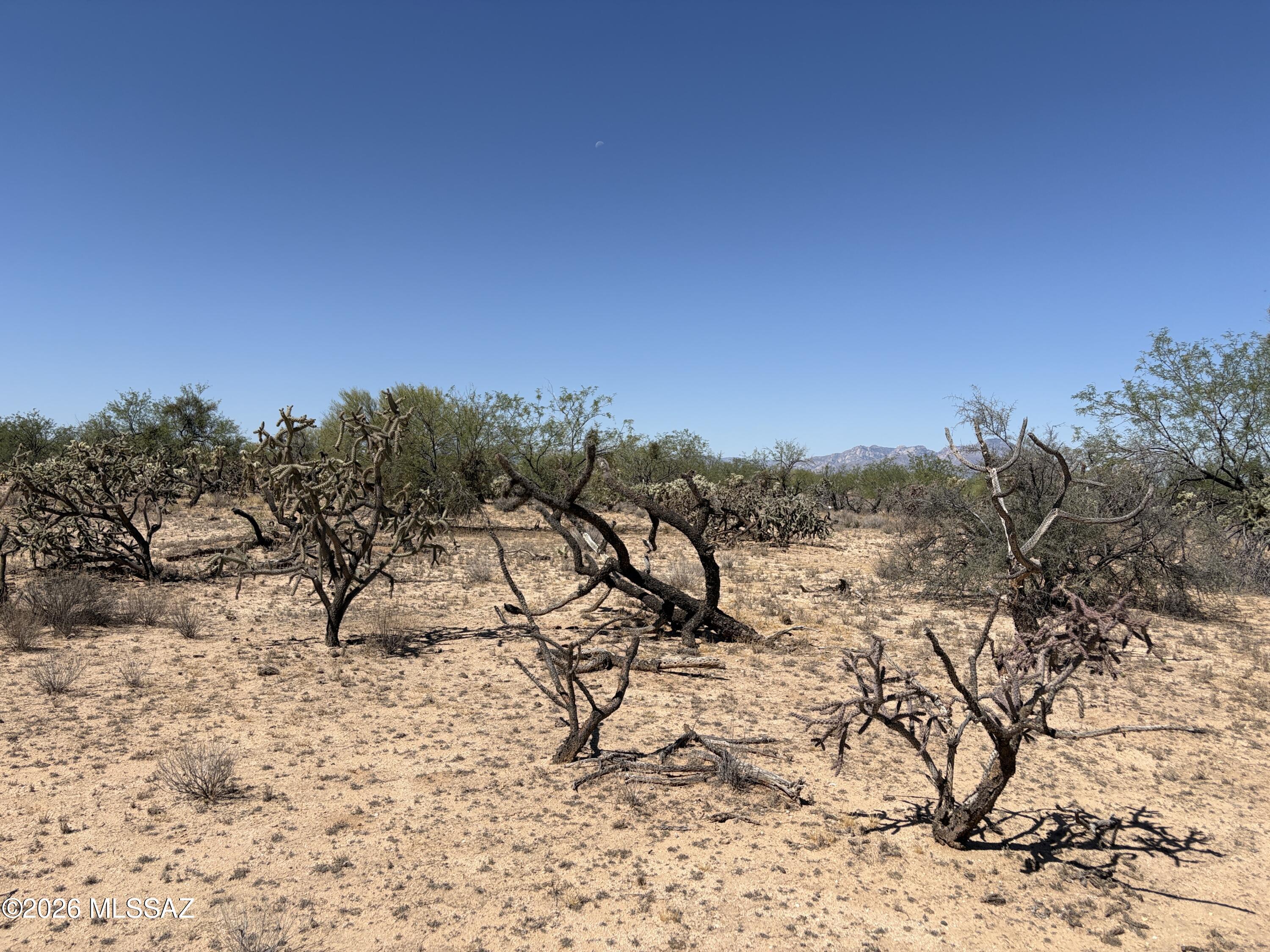 Diamond Bell Ranch - Tucson (1-229) - Land