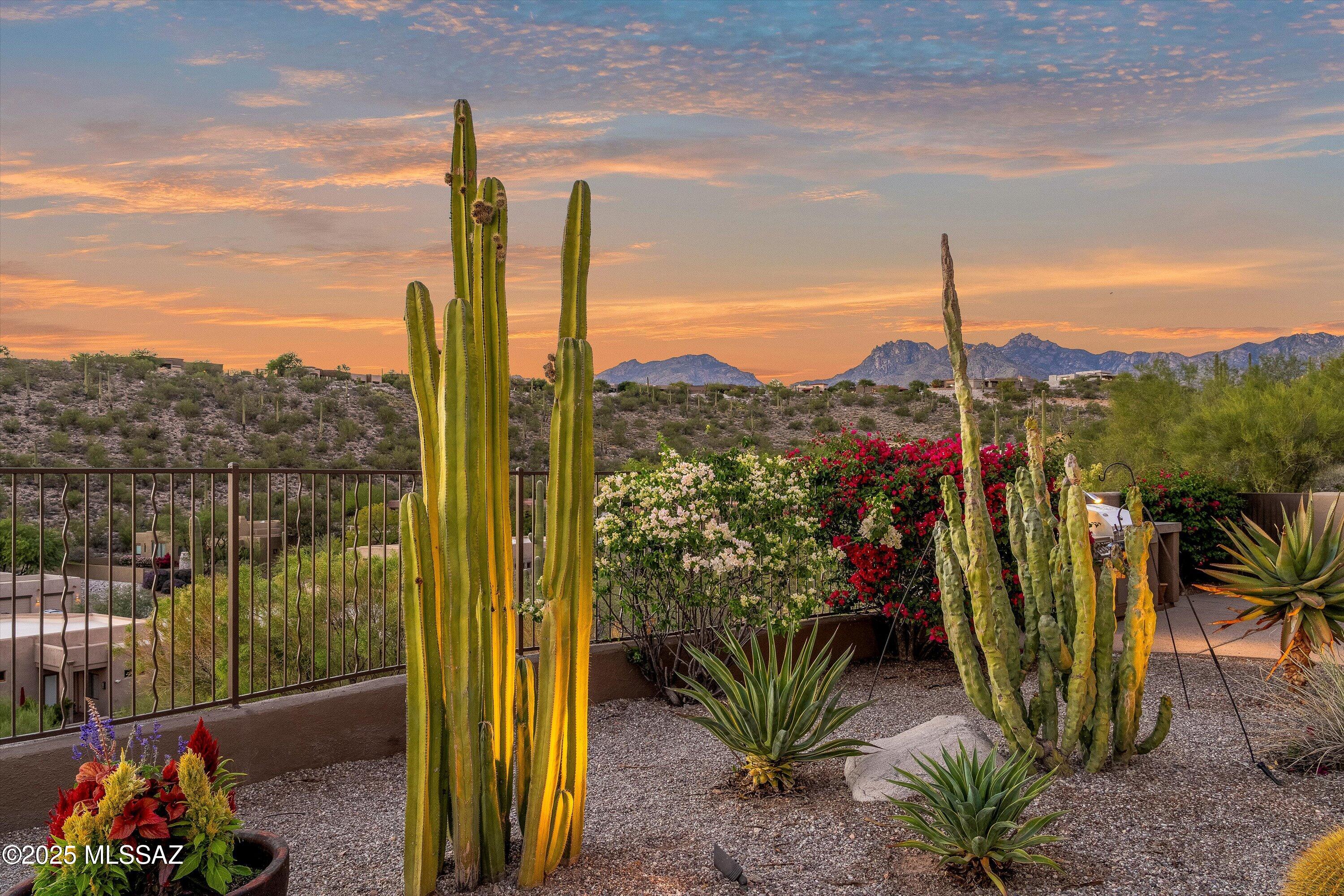 Sabino Mountain (1-290) - Residential