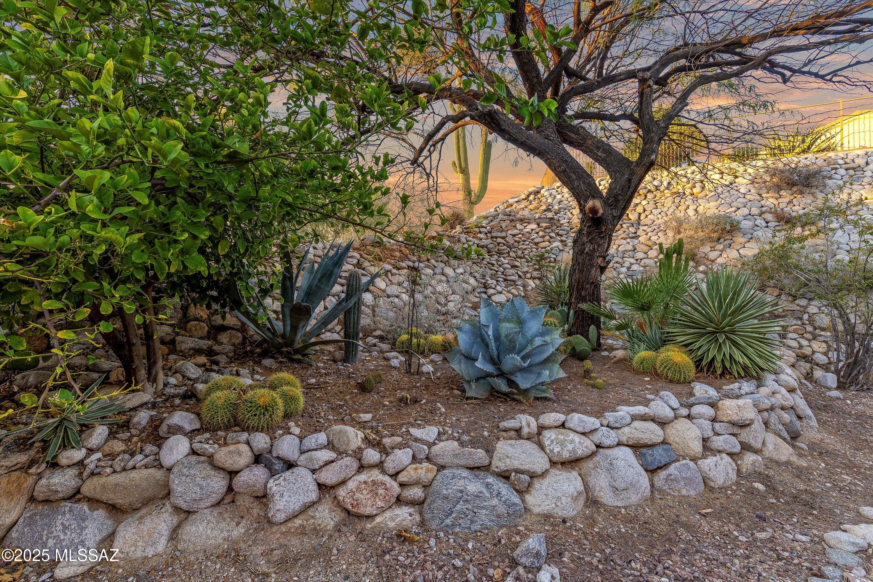 Sabino Mountain (1-290) - Residential