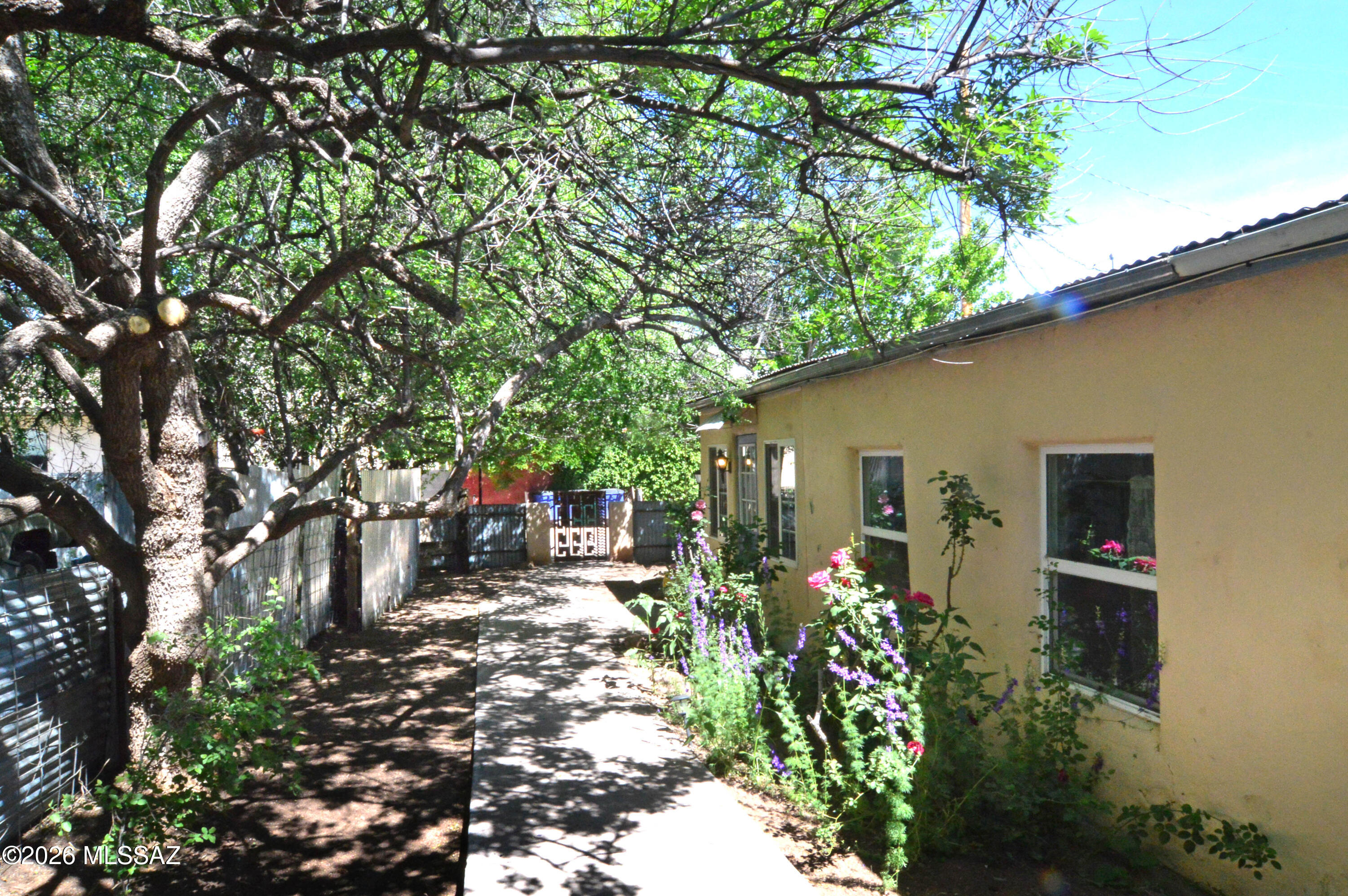 Patagonia Townsite - Residential