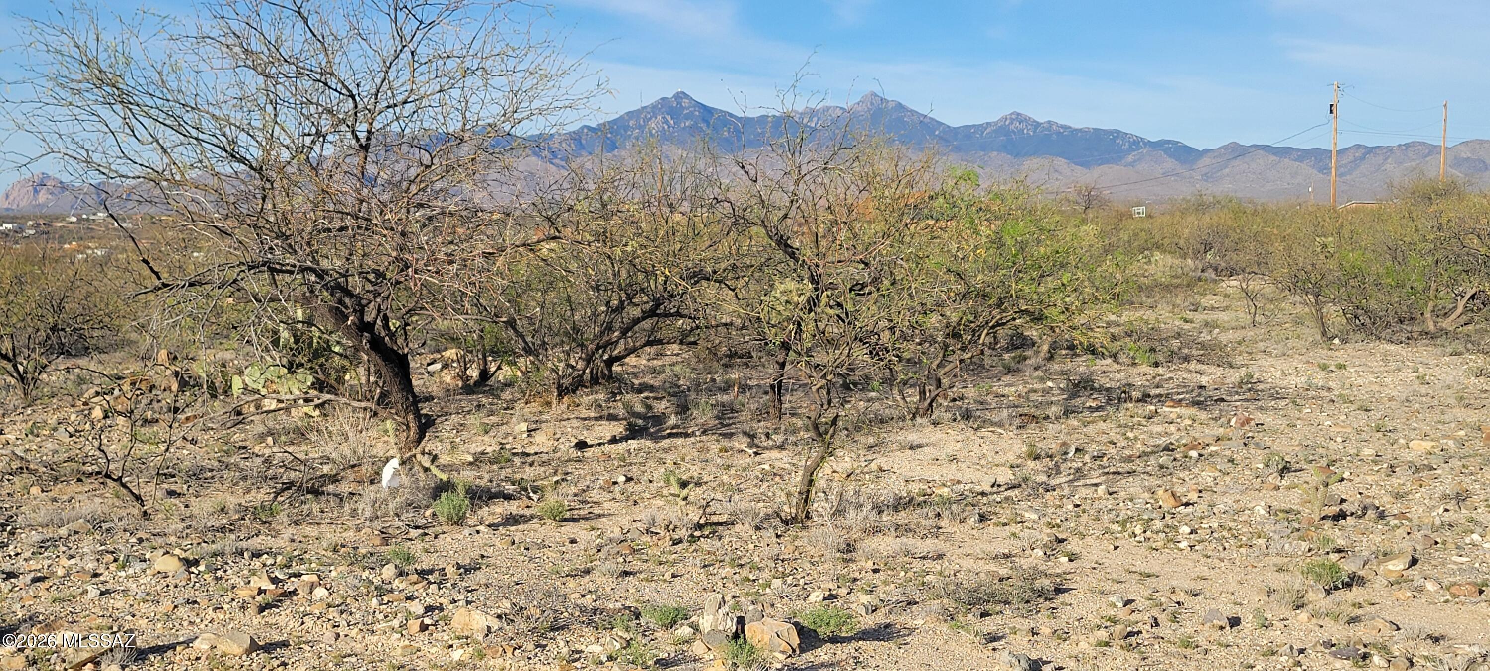 1799 Crow Court Court 45