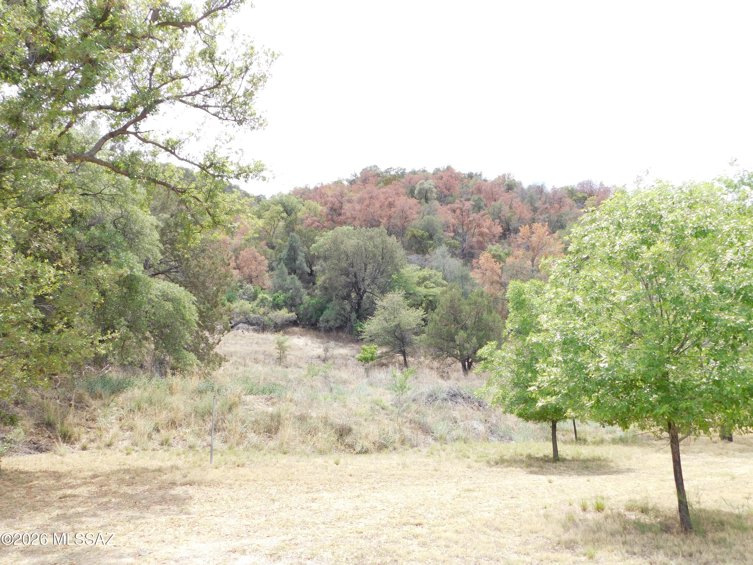 Out Of Pima County - Residential