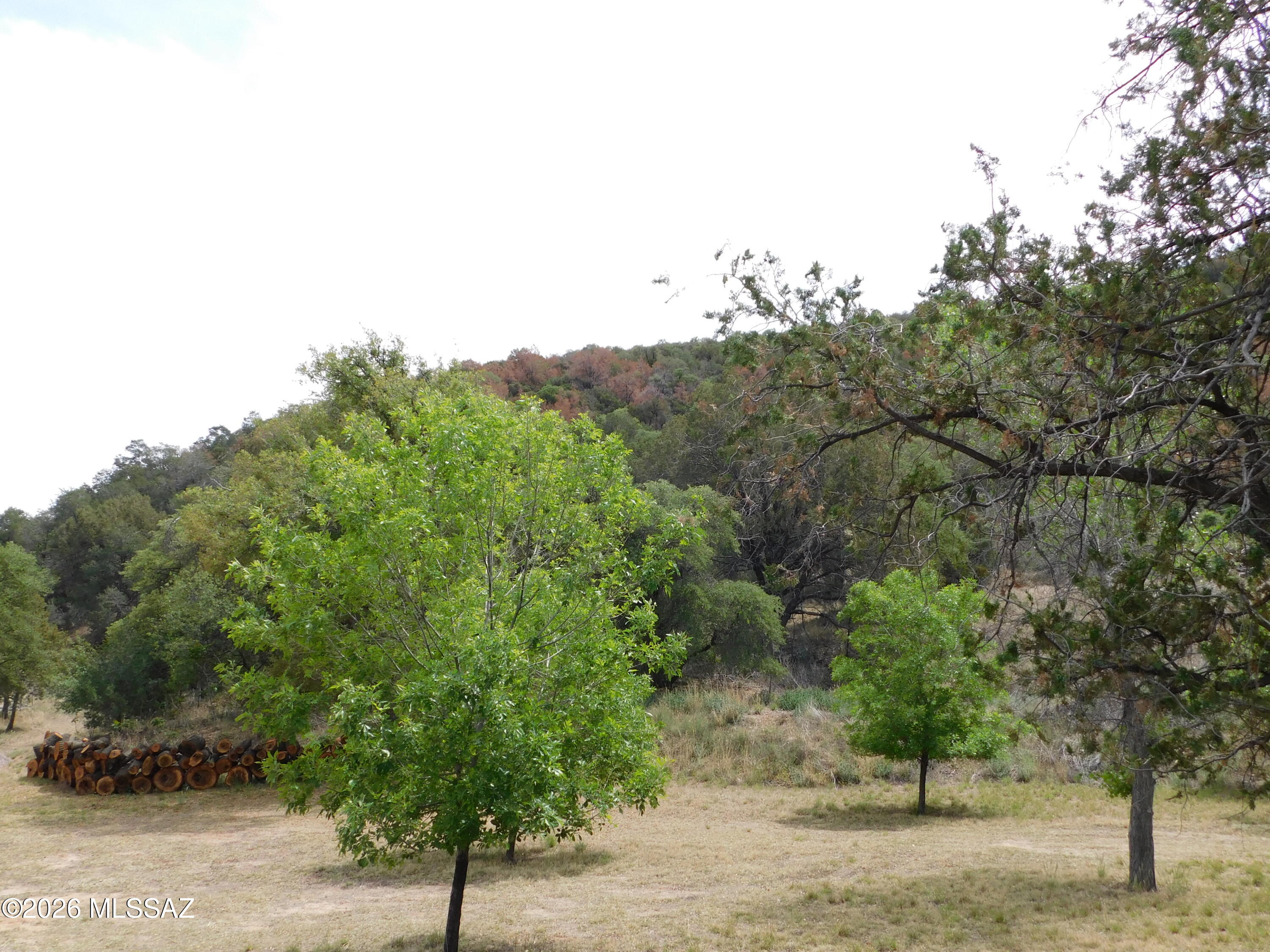 Out Of Pima County - Residential
