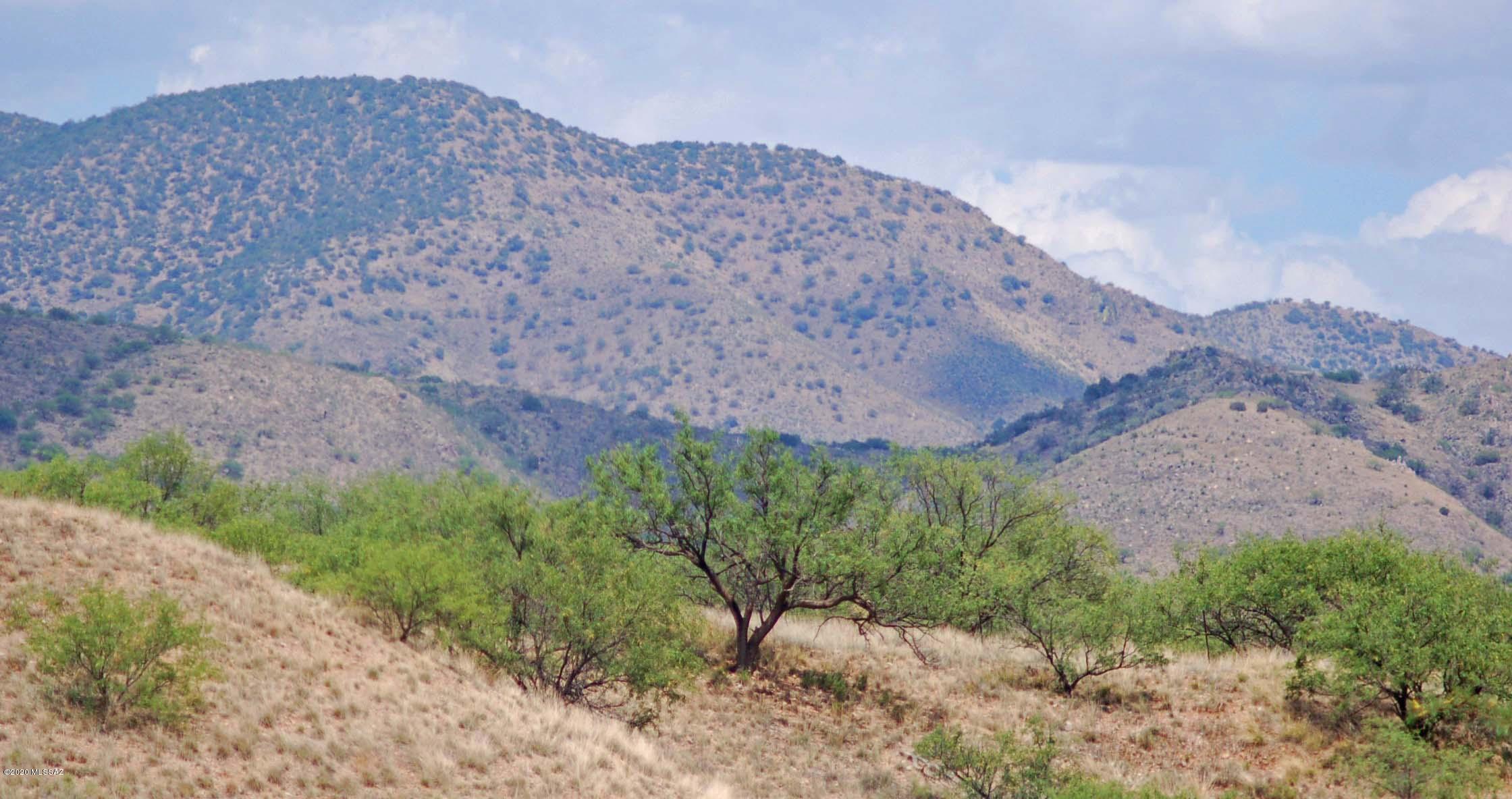 The Estates At Three Canyons - Land