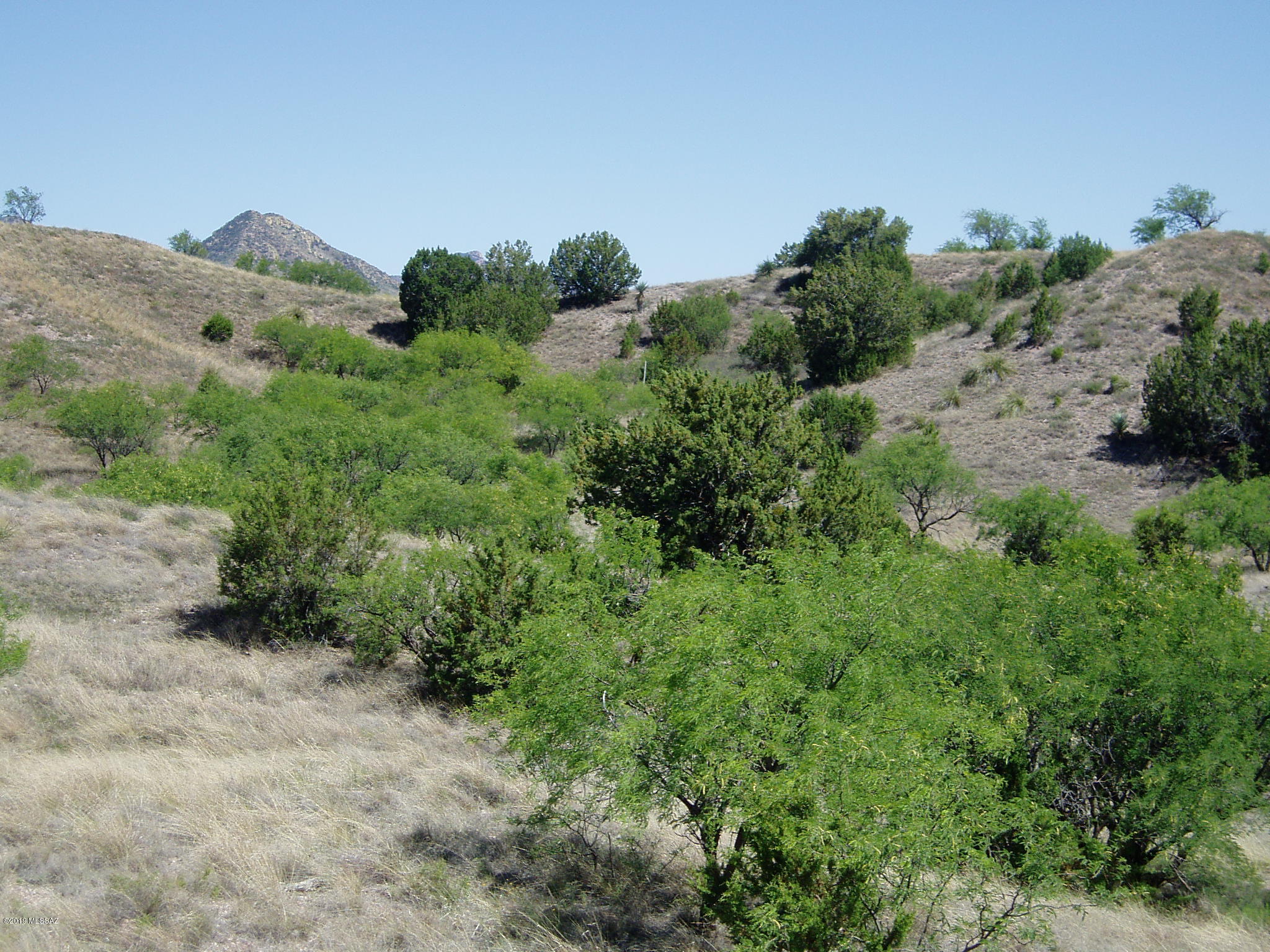 The Estates At Three Canyons - Land