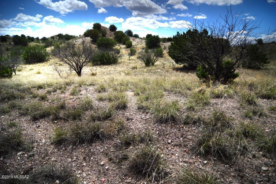 The Estates At Three Canyons - Land