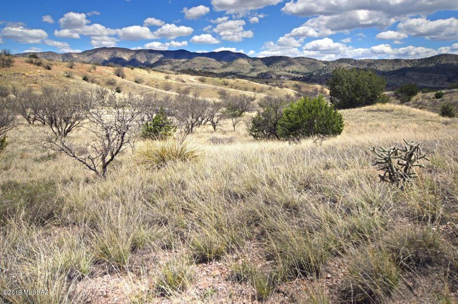 The Estates At Three Canyons - Land
