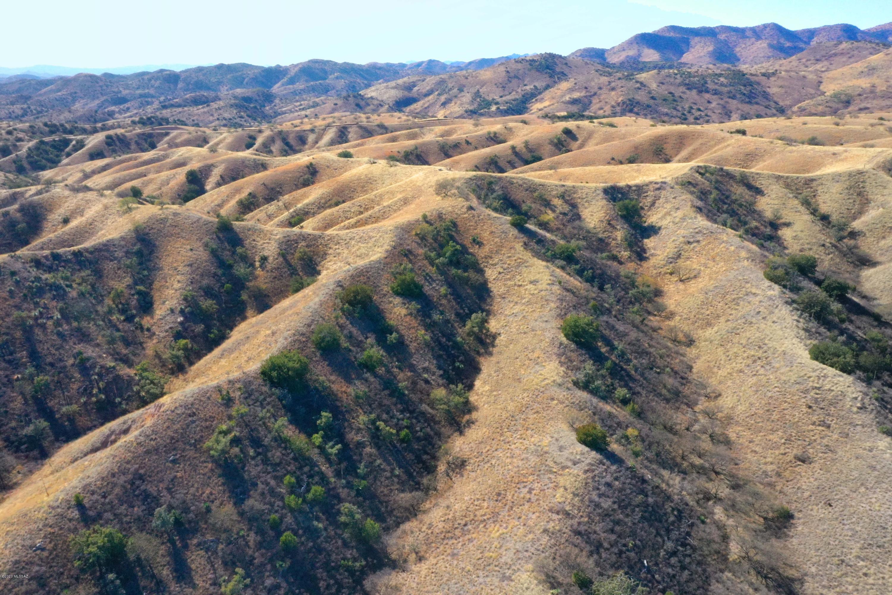 The Estates At Three Canyons - Land