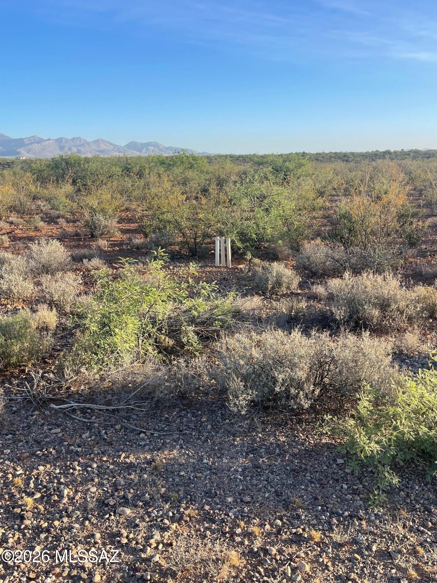 Other/Unknown - Land