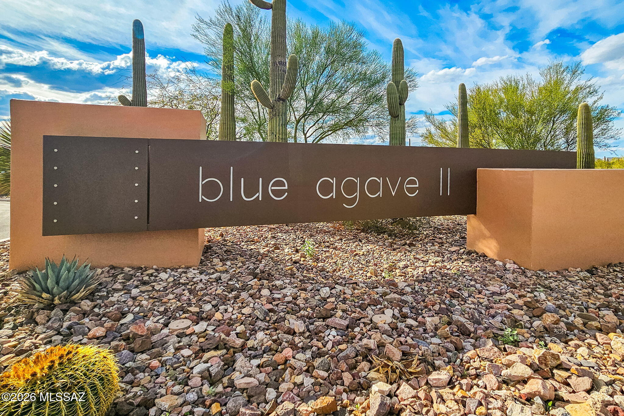 Blue Agave At Dove Mountain - Residential