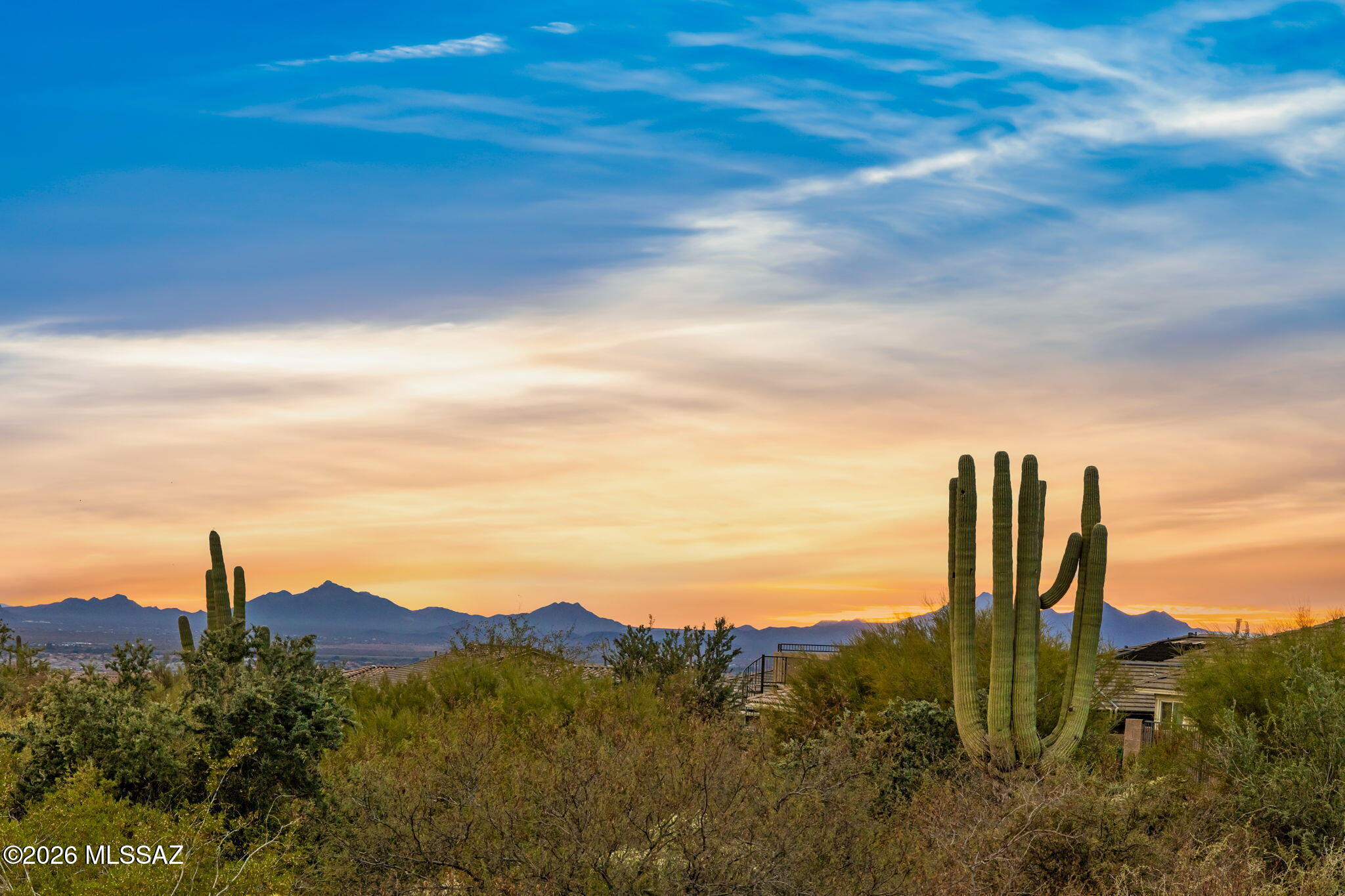 Blue Agave At Dove Mountain - Residential