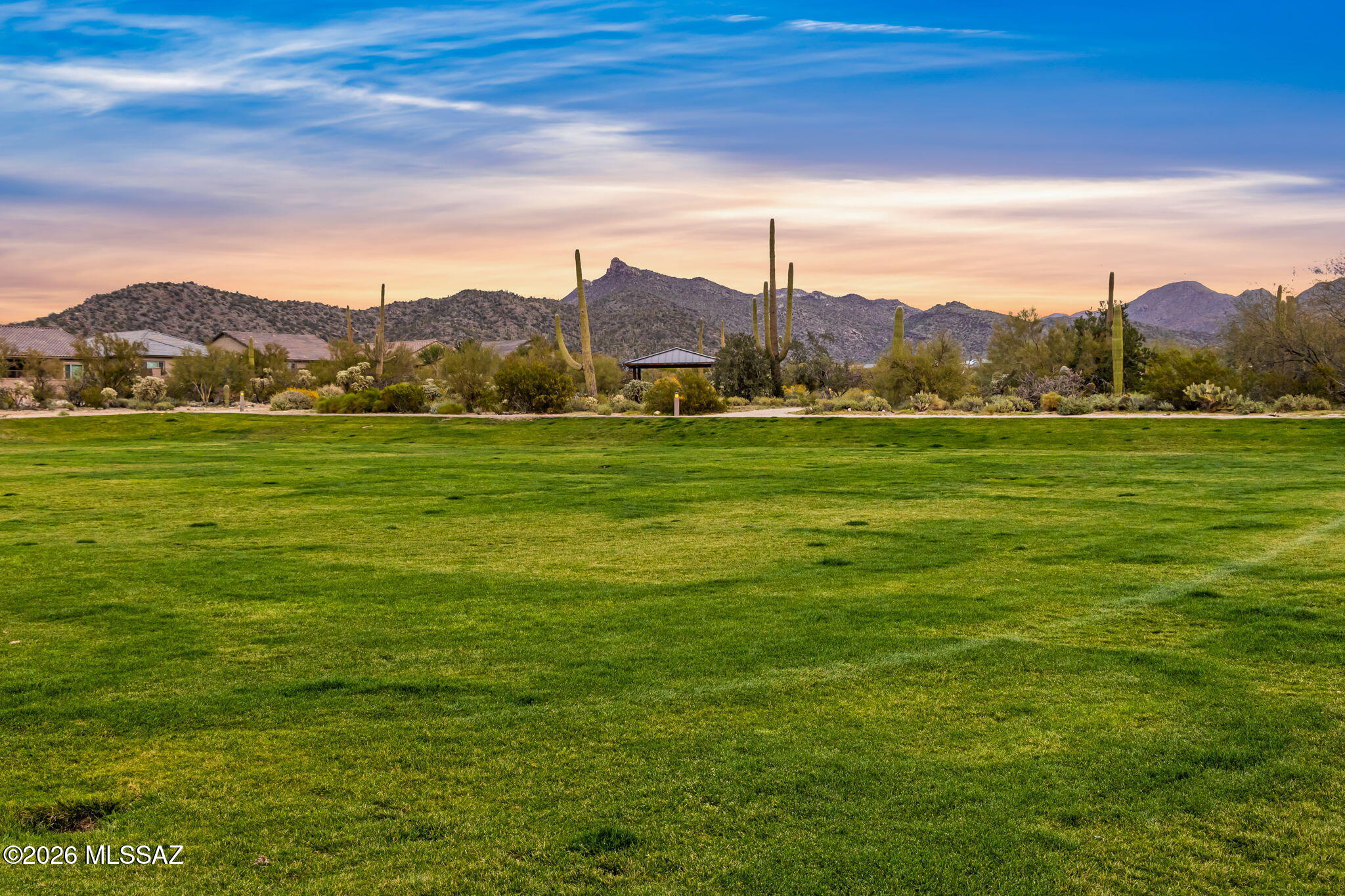 Blue Agave At Dove Mountain - Residential