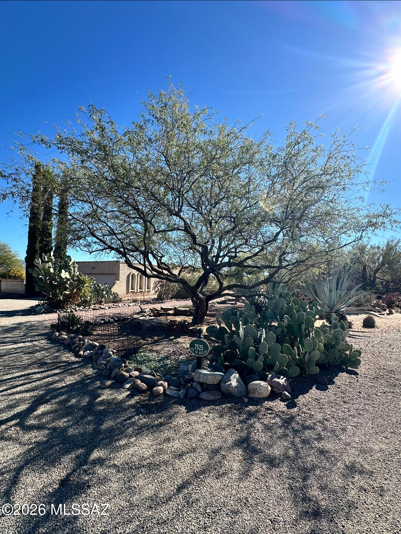 7525 S Avenida De Belleza