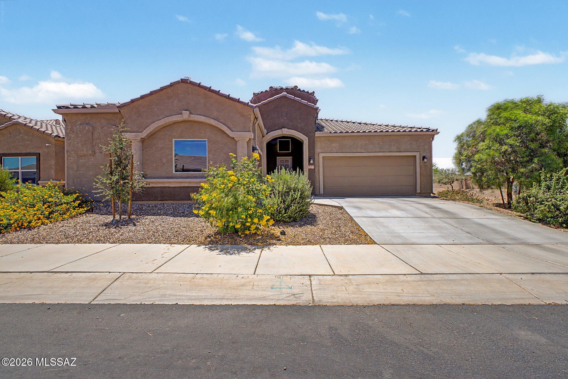 Saguaro Bloom 7B - Residential