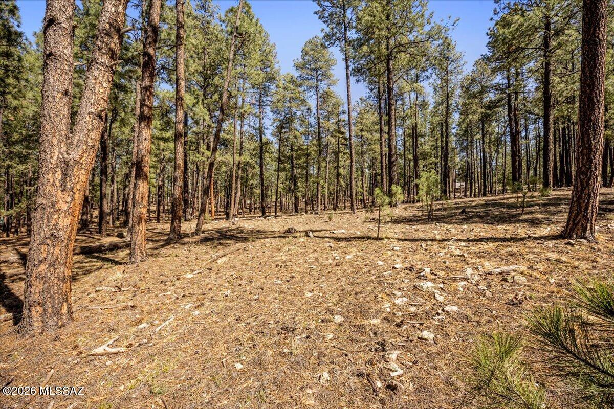 Out Of Pima County - Land