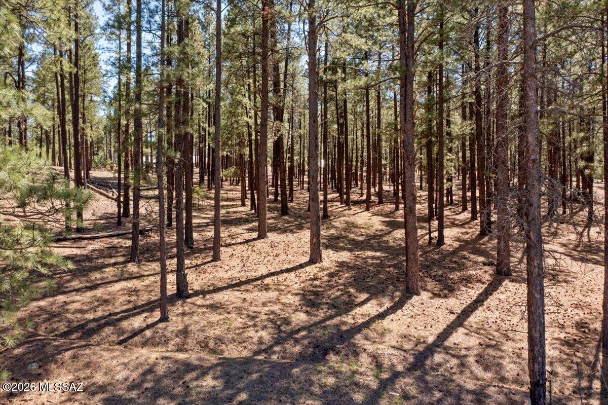 Out Of Pima County - Land