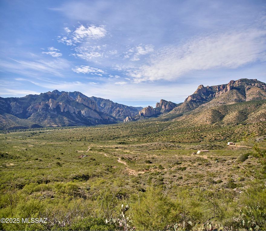 Great price on a hillside lot for your future home with breathtaking views of ''The Yosemite of Arizona'' in the Chiricahua Mtns. 8.45 acres w/great access off of paved road, DSL/phone, at lot line. Elevation 5500'. Portal boasts Bortle 1 and 2 dark skies, incomparable star gazing! Bring your telescope.  Vegetation is ocotillo, yucca, agave, juniper, w/some mesquite mixed in. Adjacent 50' deep slot canyon to explore. Close knit community consists of astronomers, birders, and nature enthusiasts alike! Minutes to Portal and trails in the Chiricahuas.