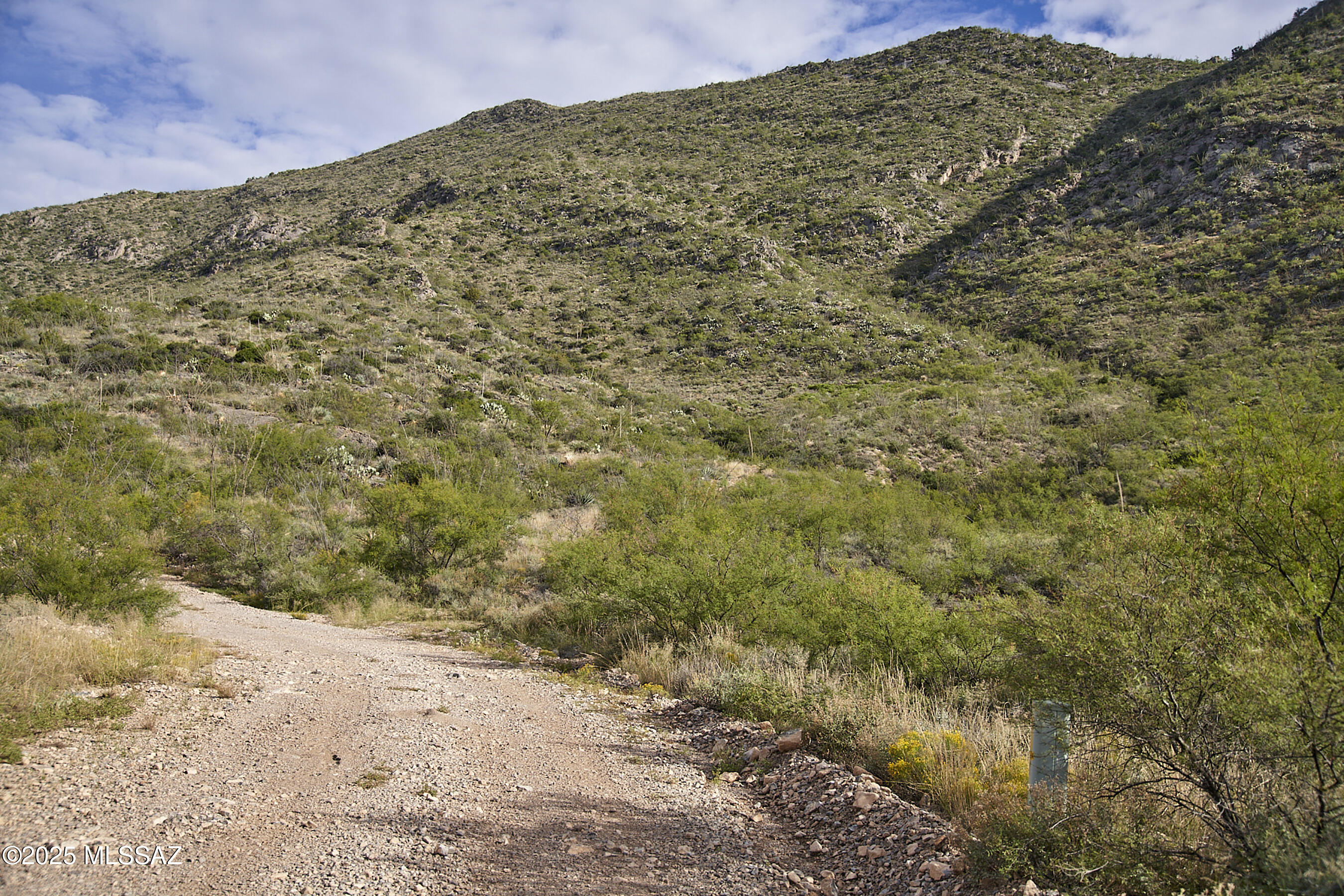 Out Of Pima County - Land