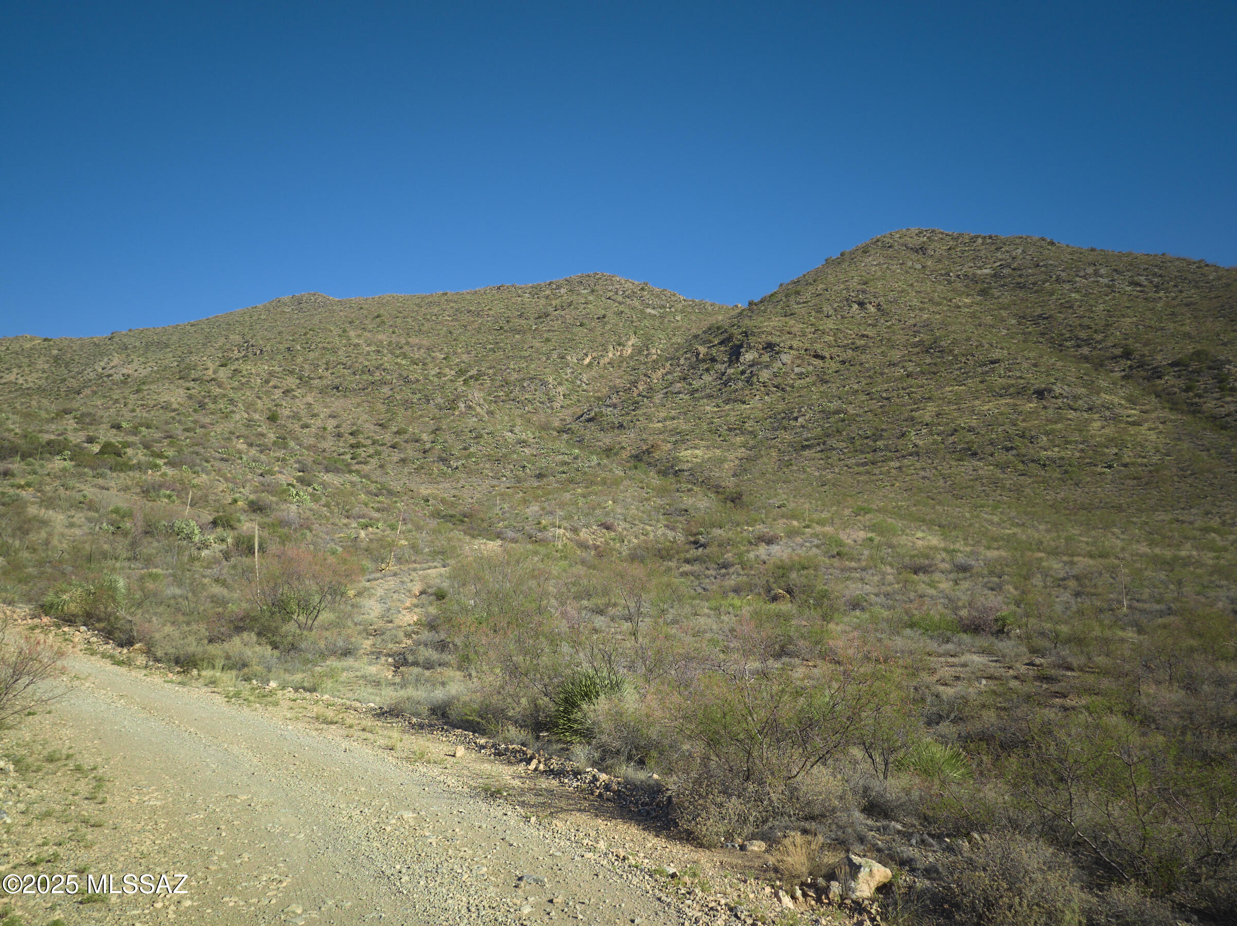 Out Of Pima County - Land