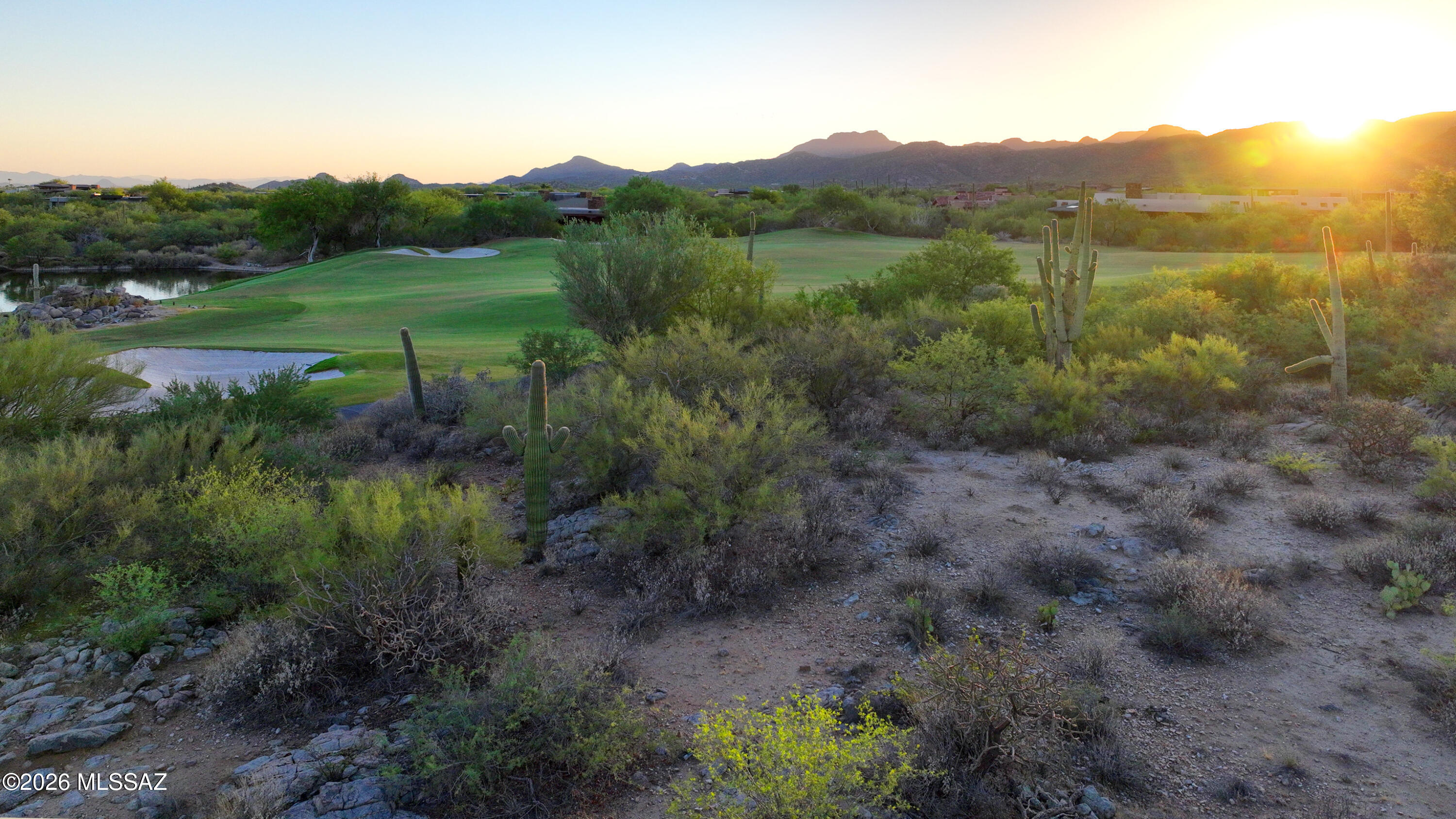 14471 Giant Saguaro Place 33