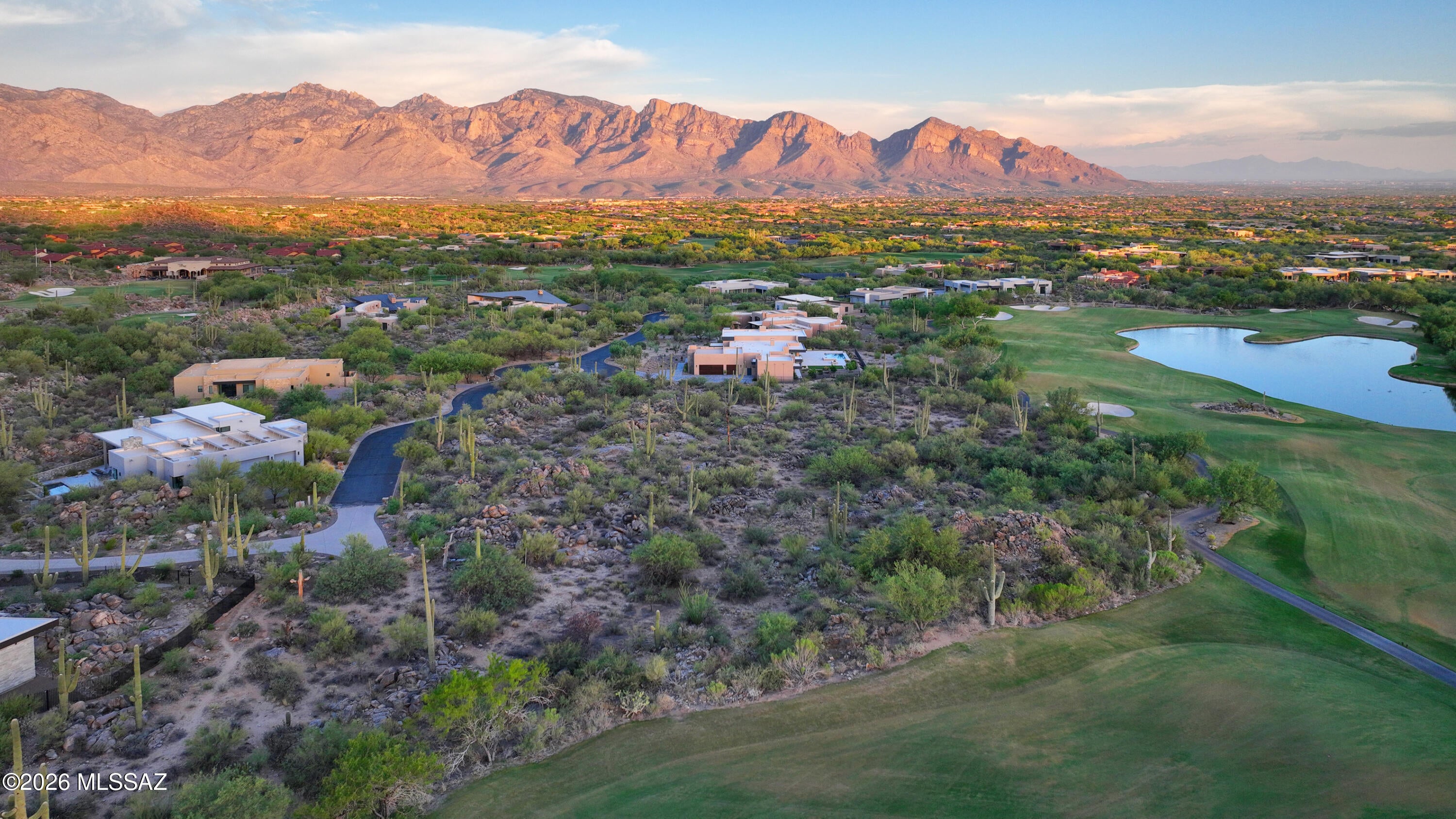 14471 Giant Saguaro Place 33