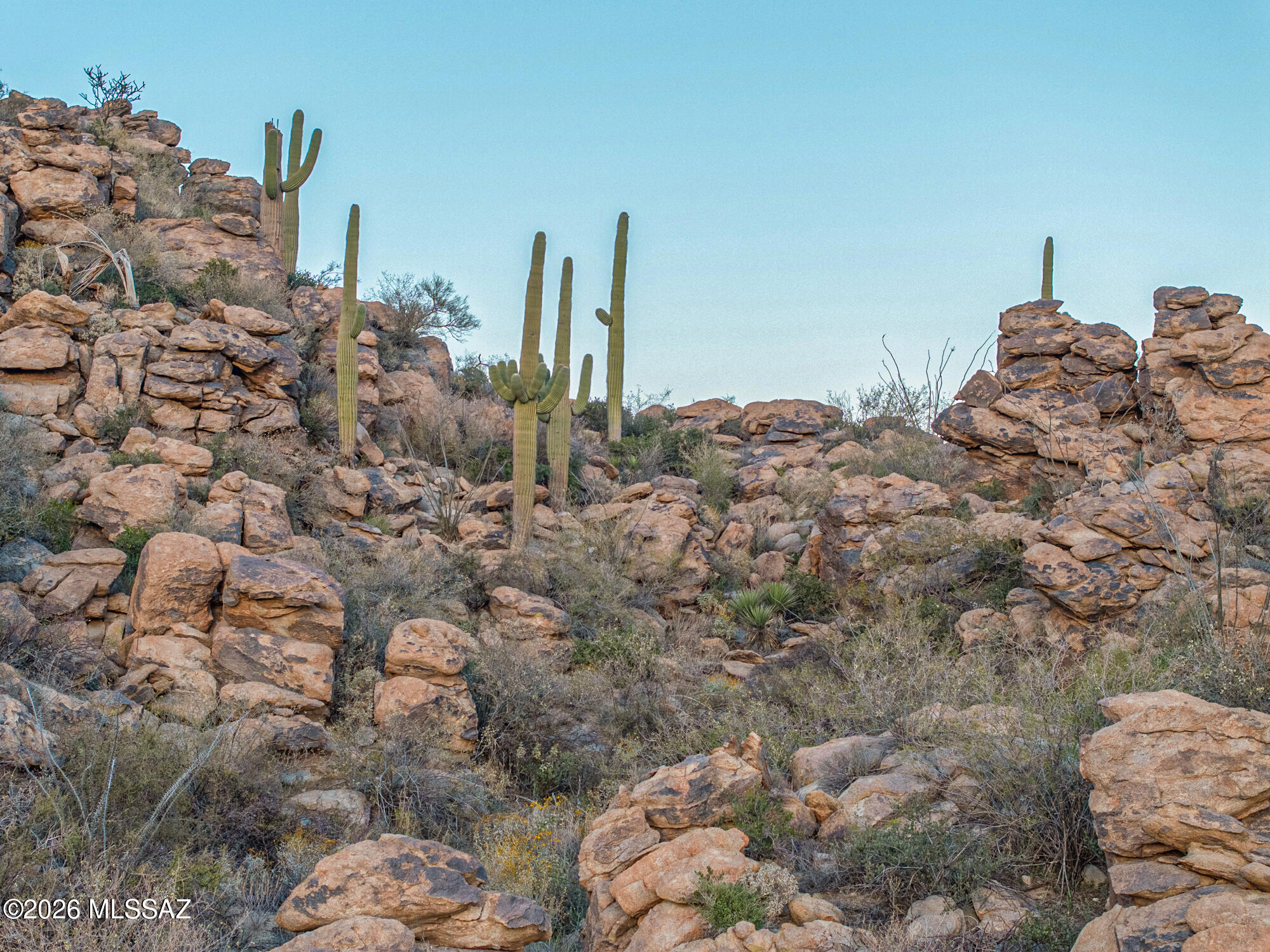 Saguaro Ranch (9-52) Blks. 1-4 - Land